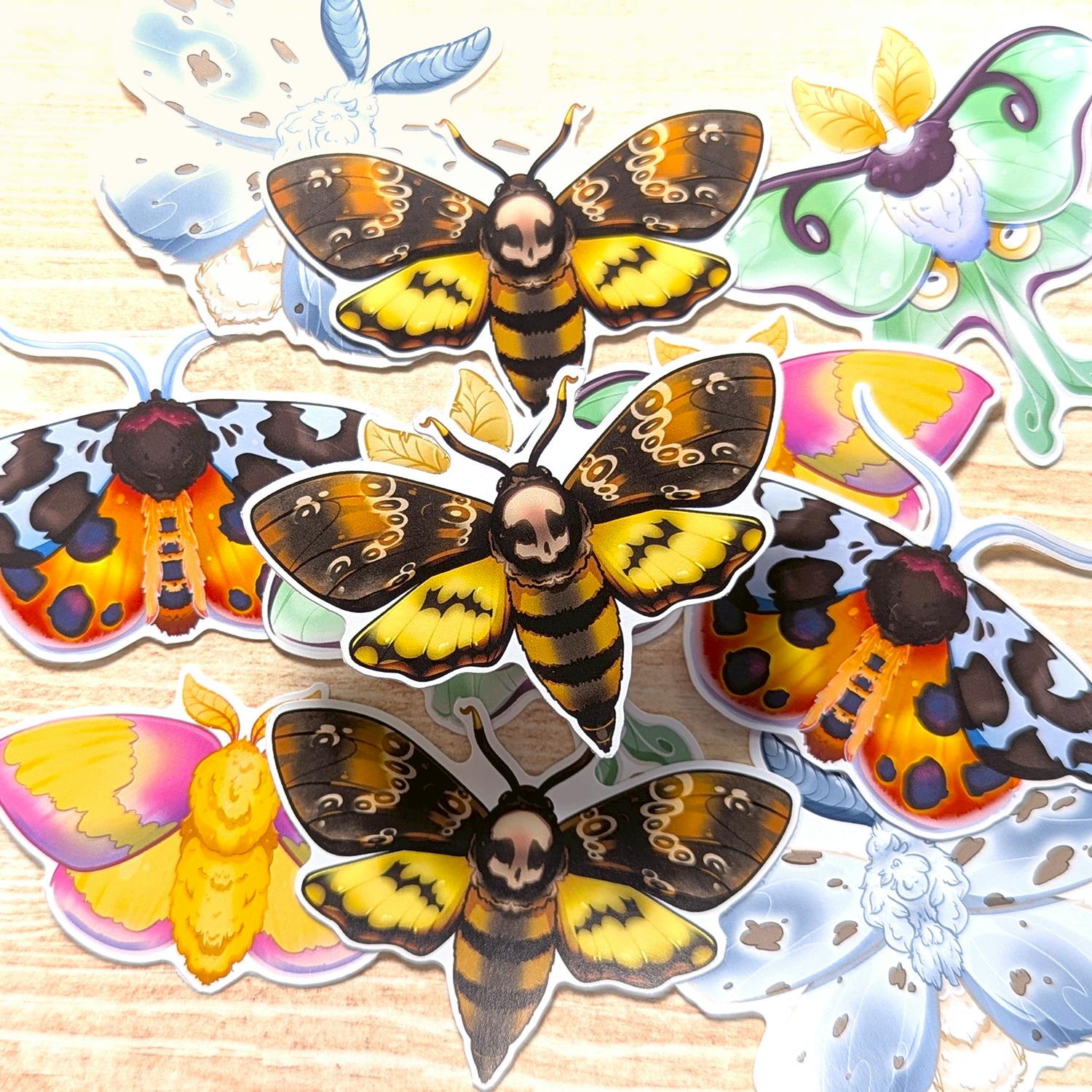 🌙 Matching Moths - Death's-Head 🌙