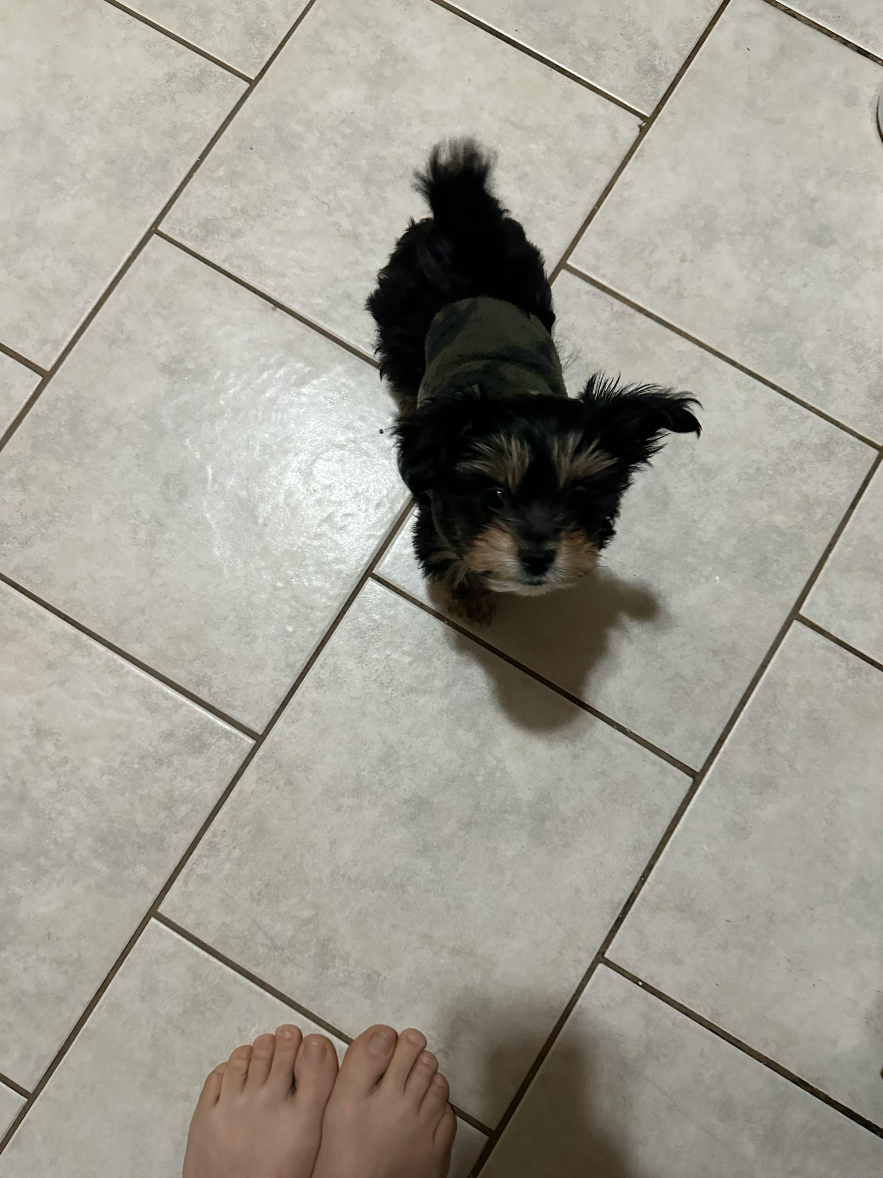 user avatar image for Evy