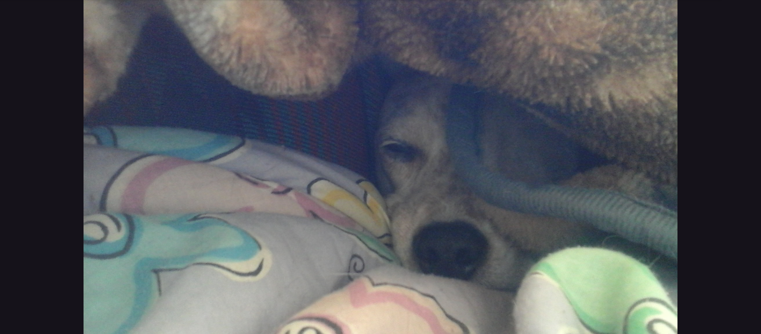 user avatar image for Wild180