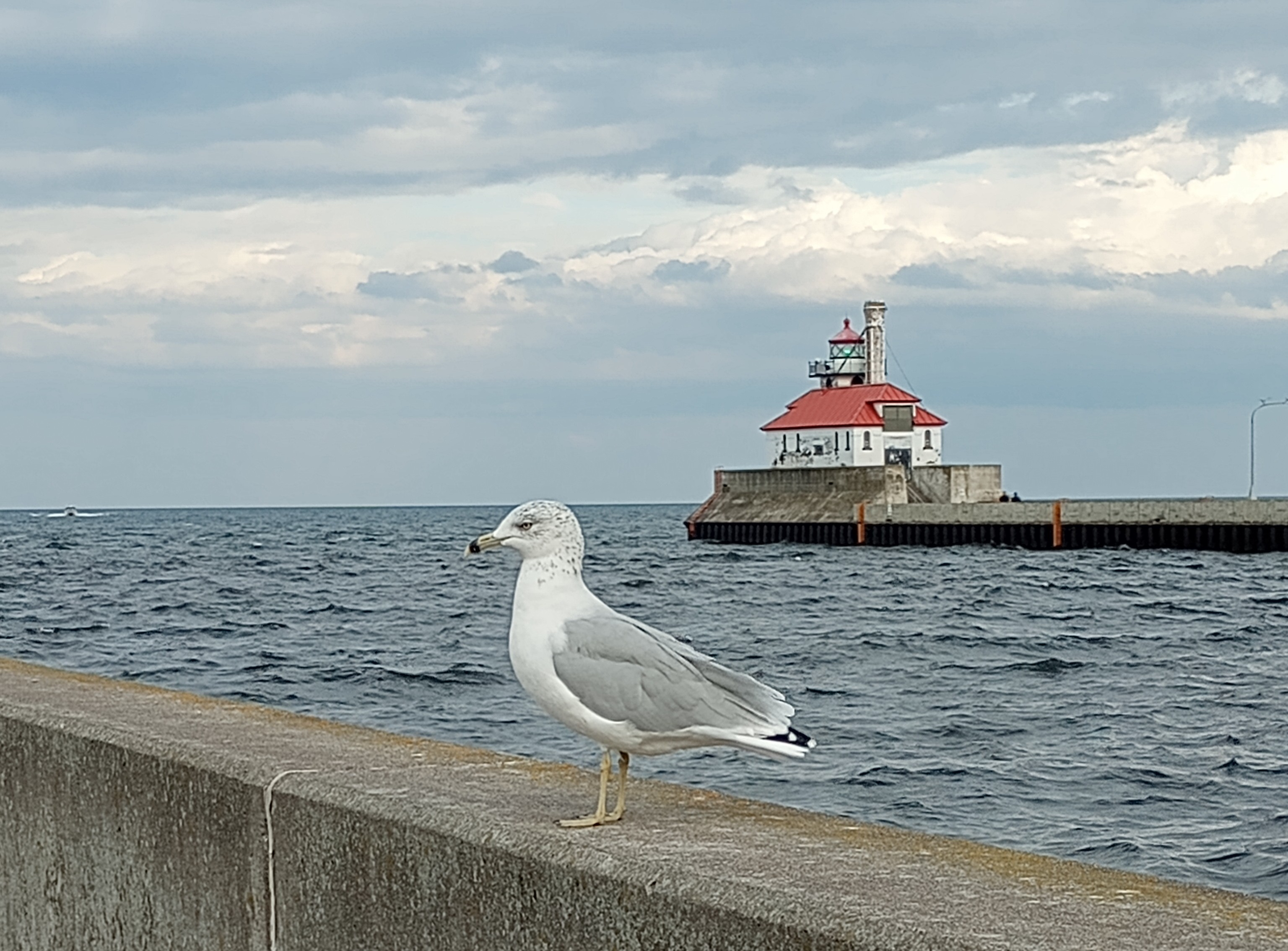 user avatar image for Deana Hipke