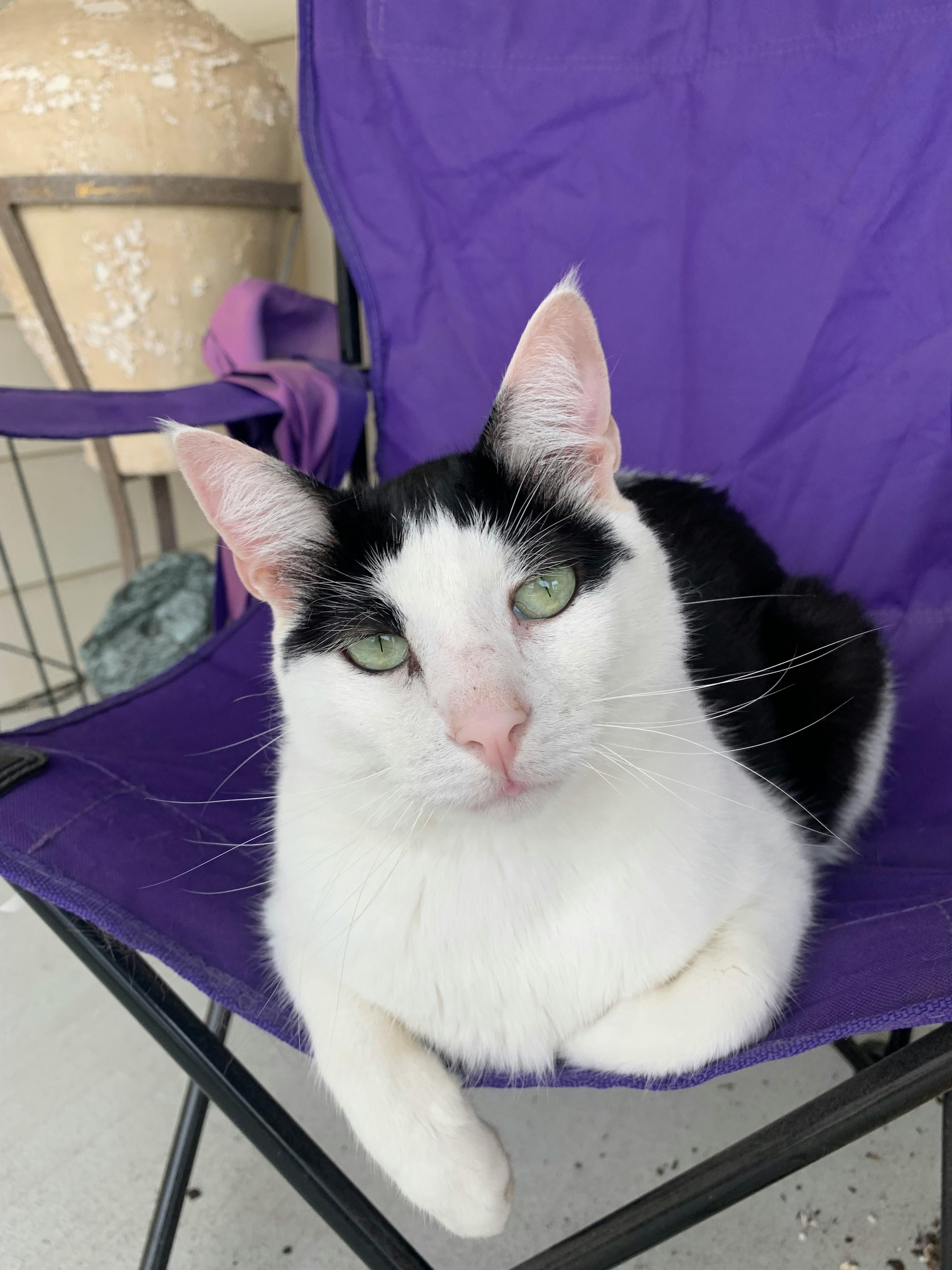 user avatar image for Chris Comperry