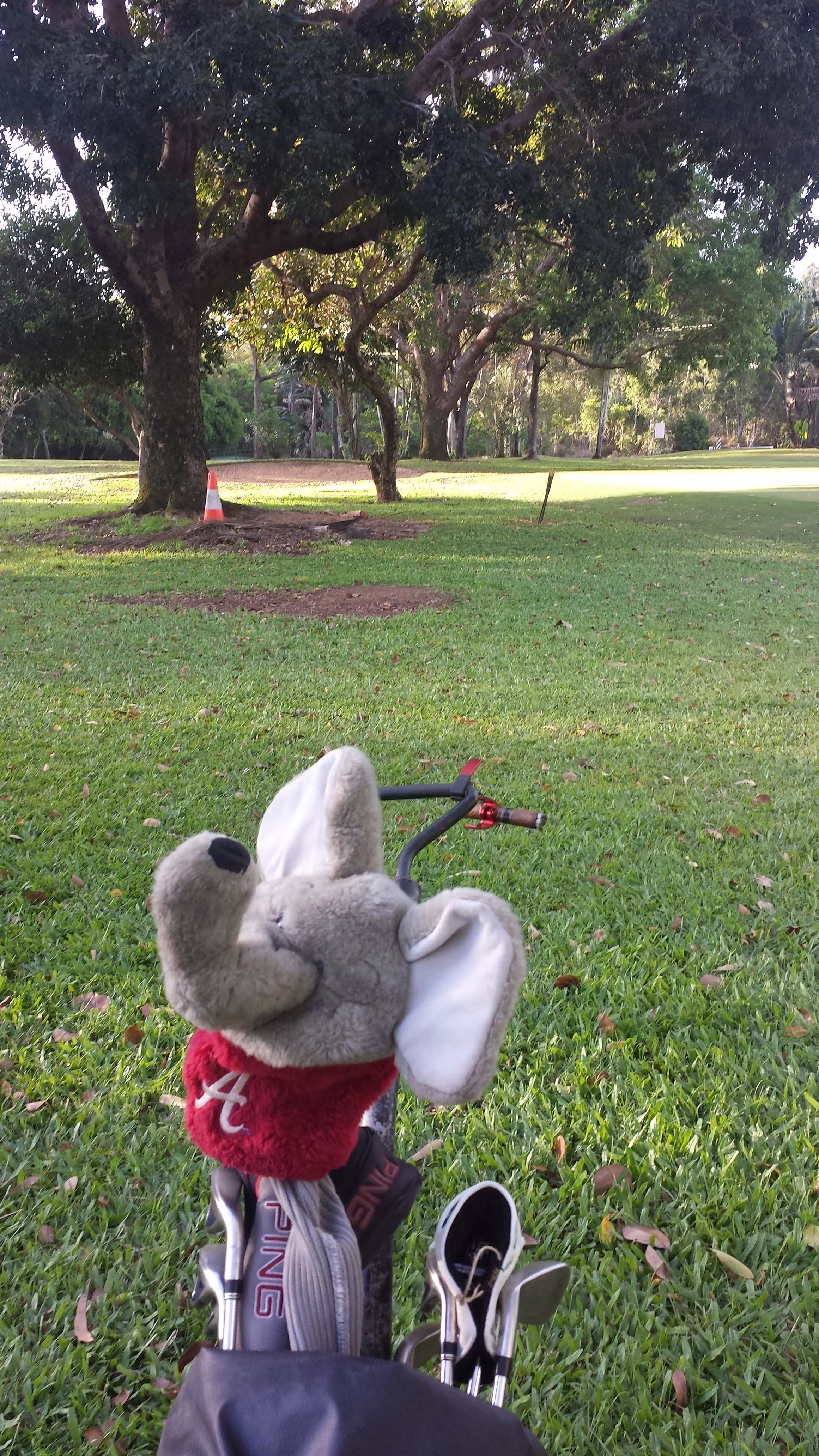 user avatar image for Klarence the Mouse