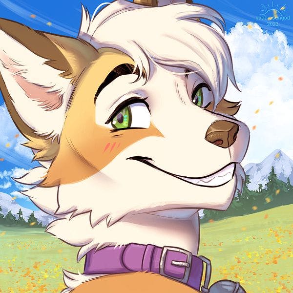 user avatar image for Sunny