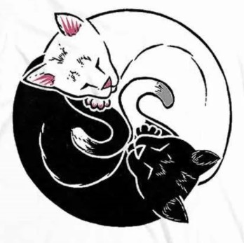 user avatar image for K Max Leehan