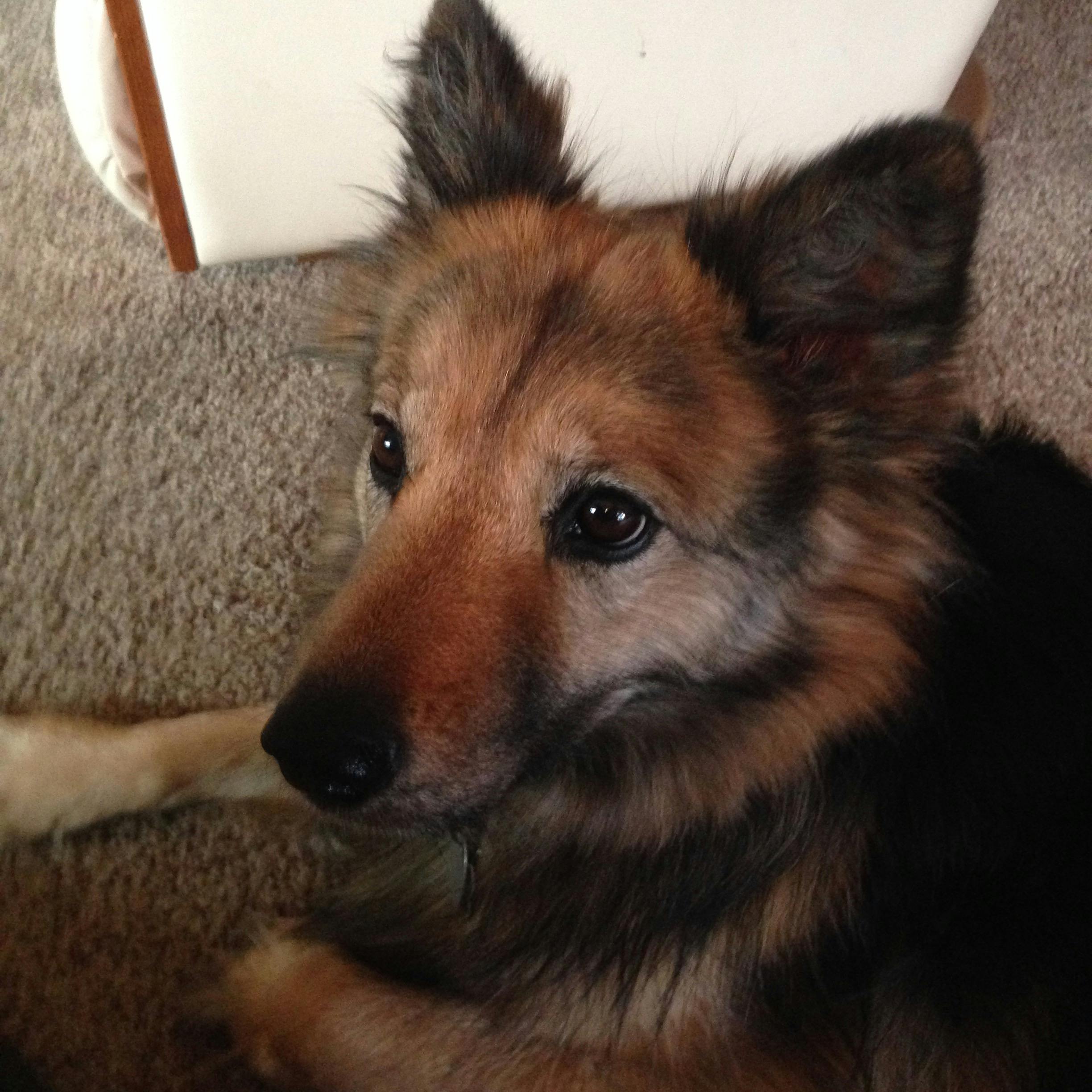 user avatar image for Sue Washinger