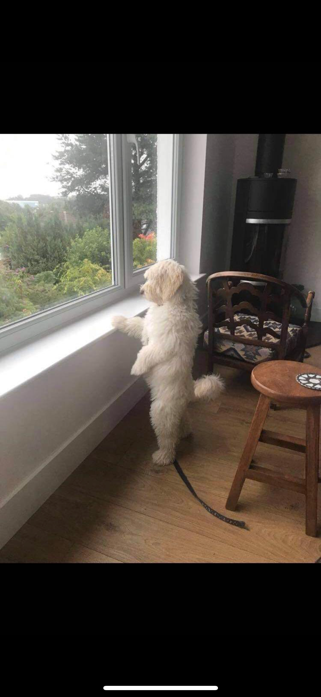 user avatar image for Archie Yarr