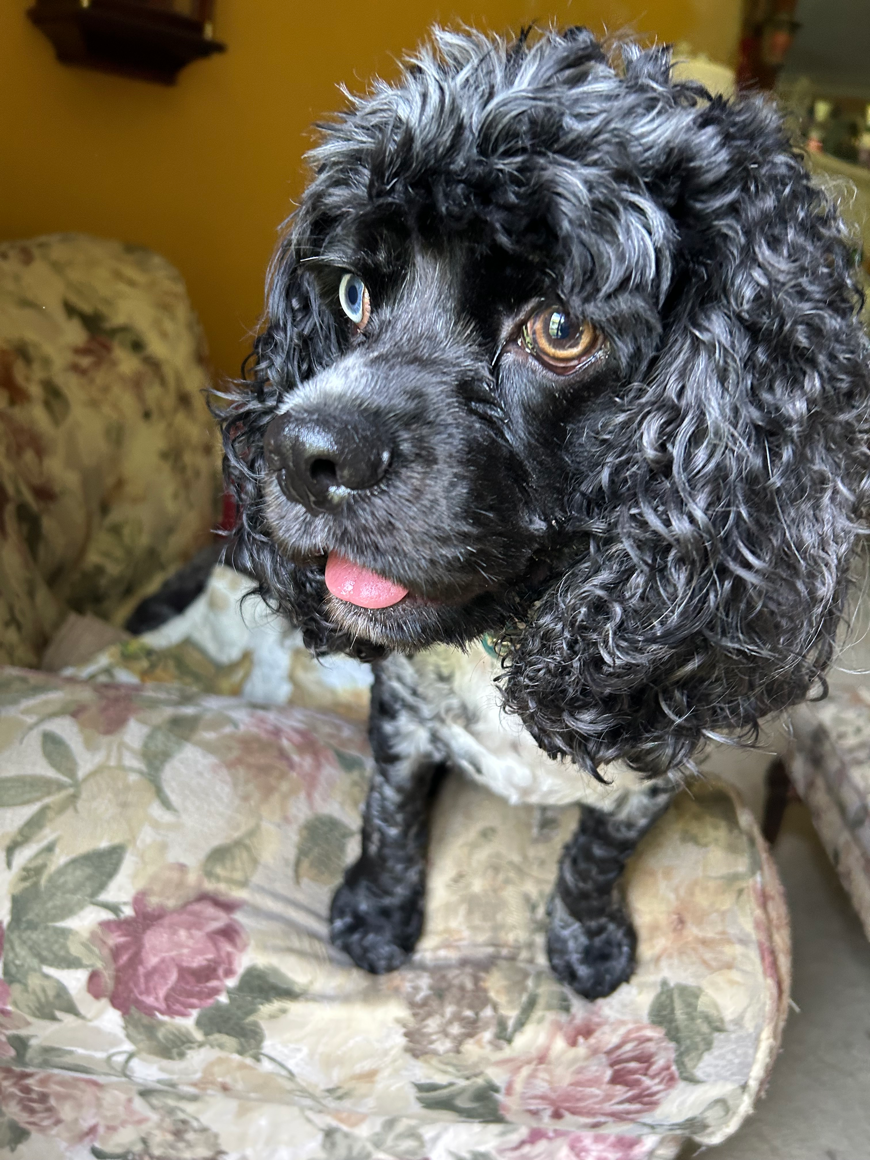 user avatar image for Sally