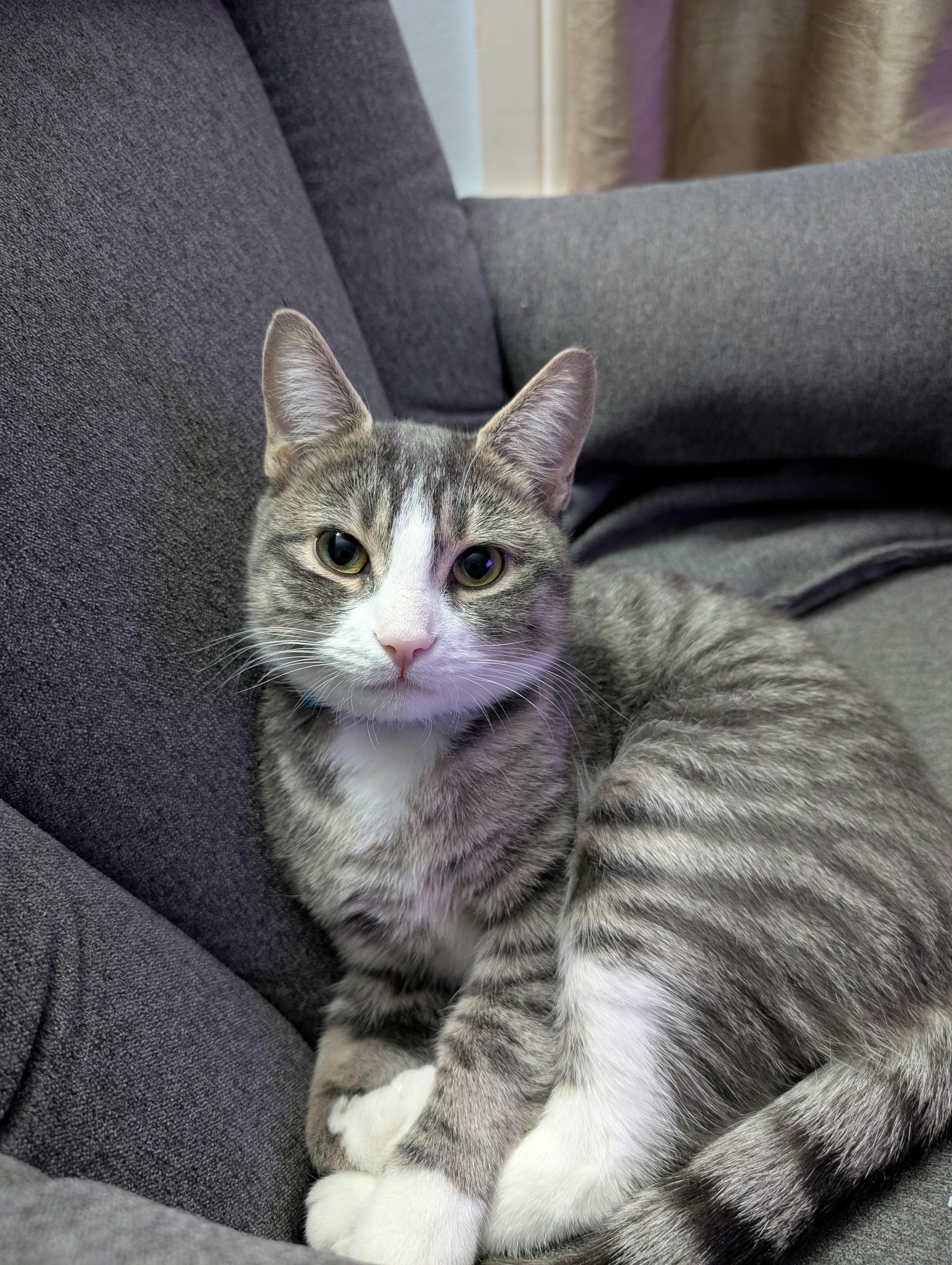 user avatar image for Philippe - DCDD