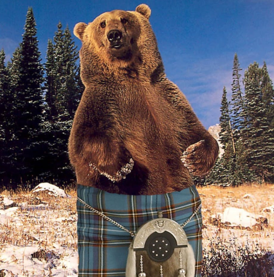 user avatar image for Lee Walters 