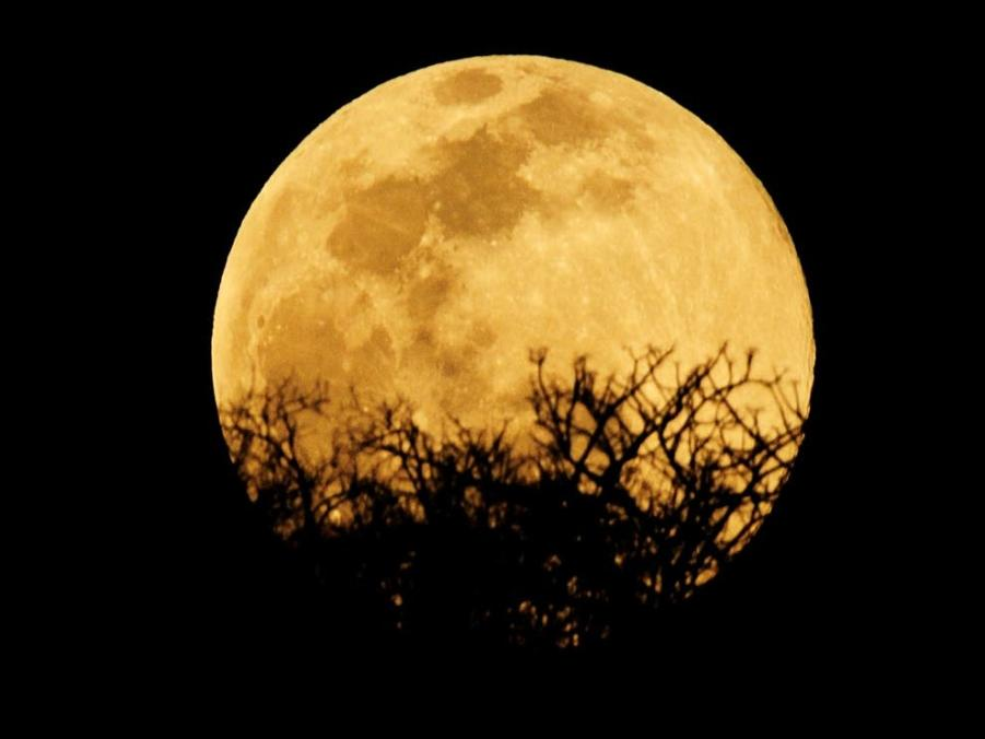 user avatar image for Allison Rose