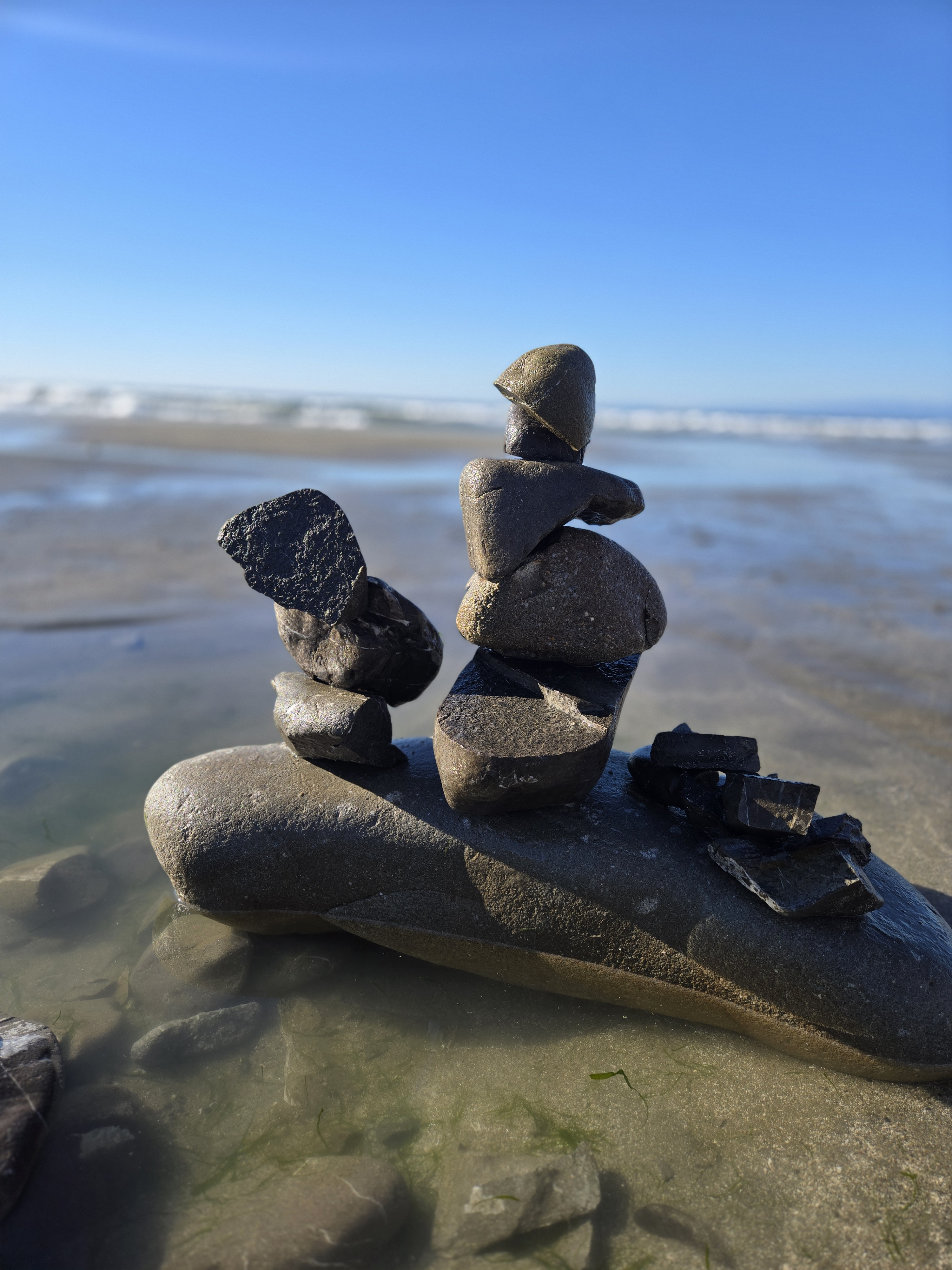 user avatar image for Shannon Ramirez