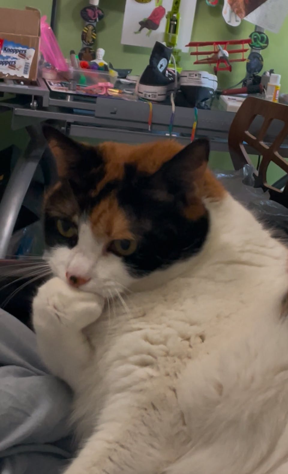 user avatar image for Amelie Burke