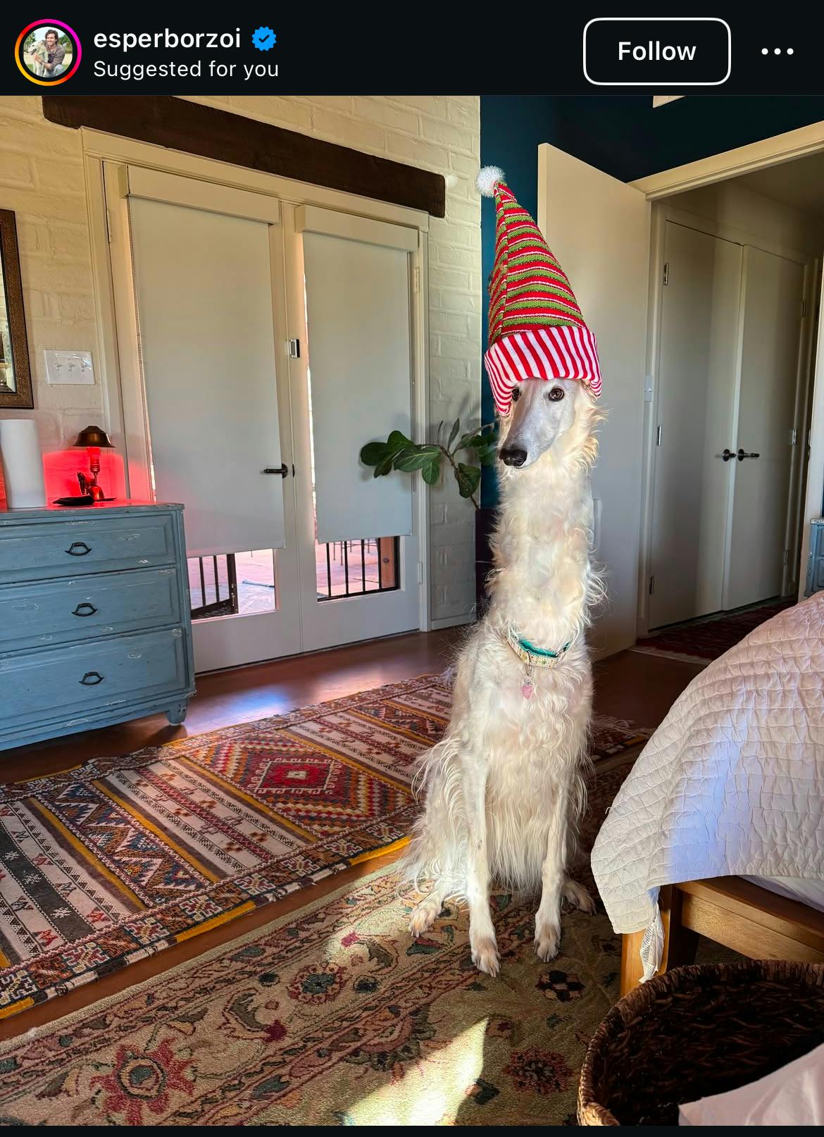 user avatar image for Nat B