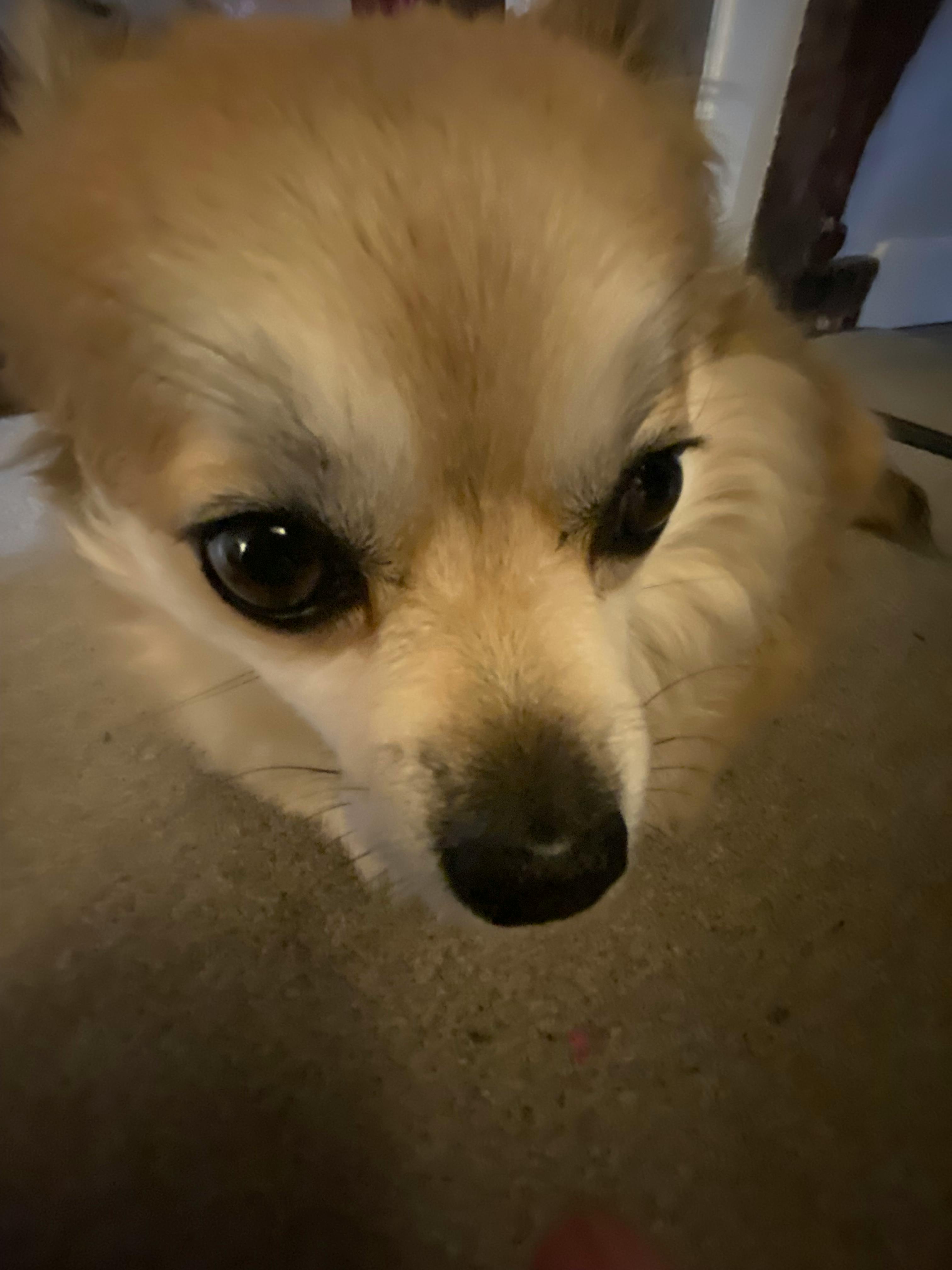 user avatar image for Harry