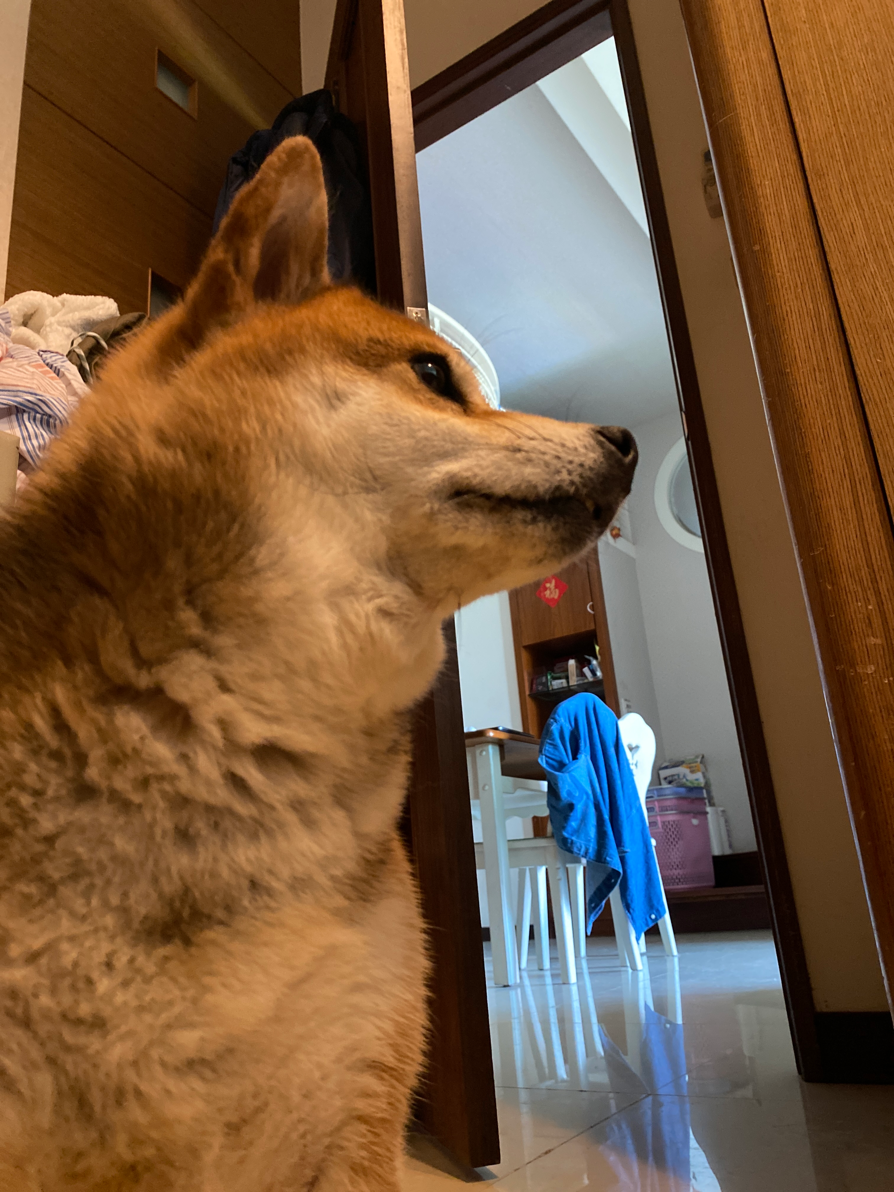 user avatar image for James Ke