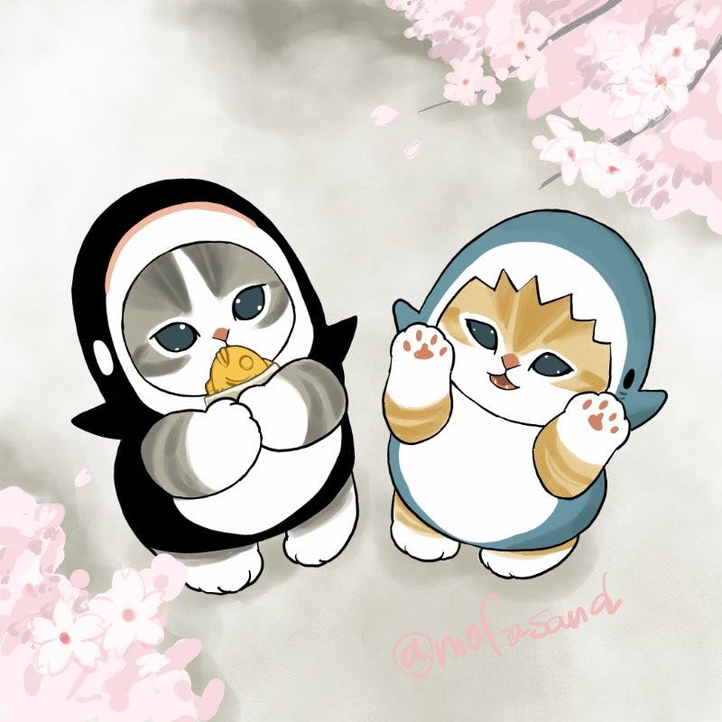 user avatar image for Rudy