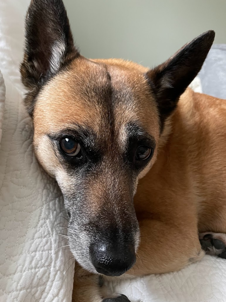 user avatar image for Ludonym