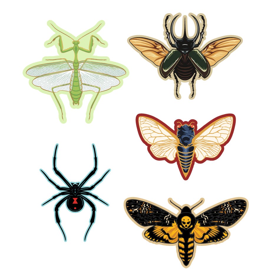 (1) Insect embroidered patch