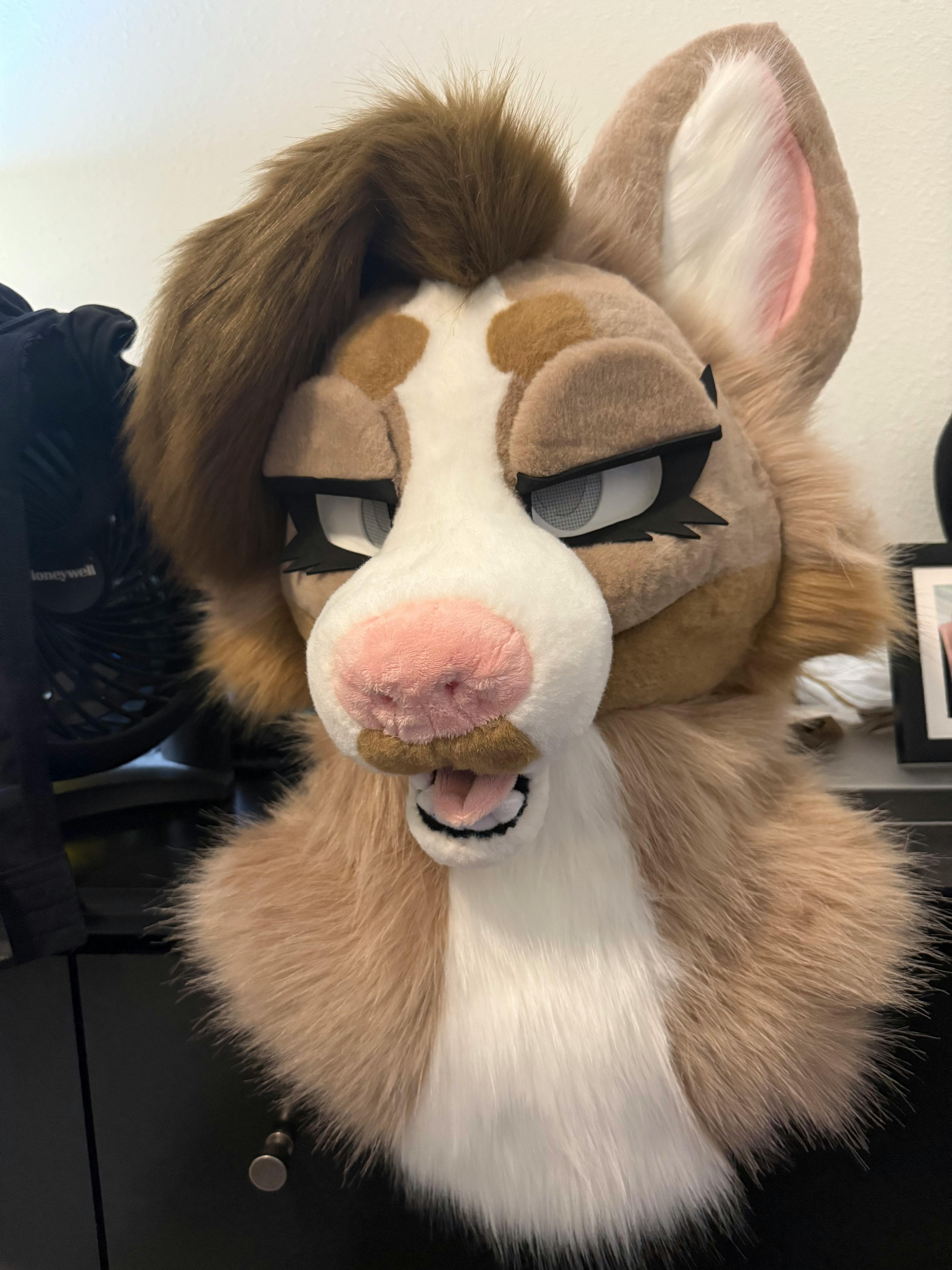 user avatar image for Song