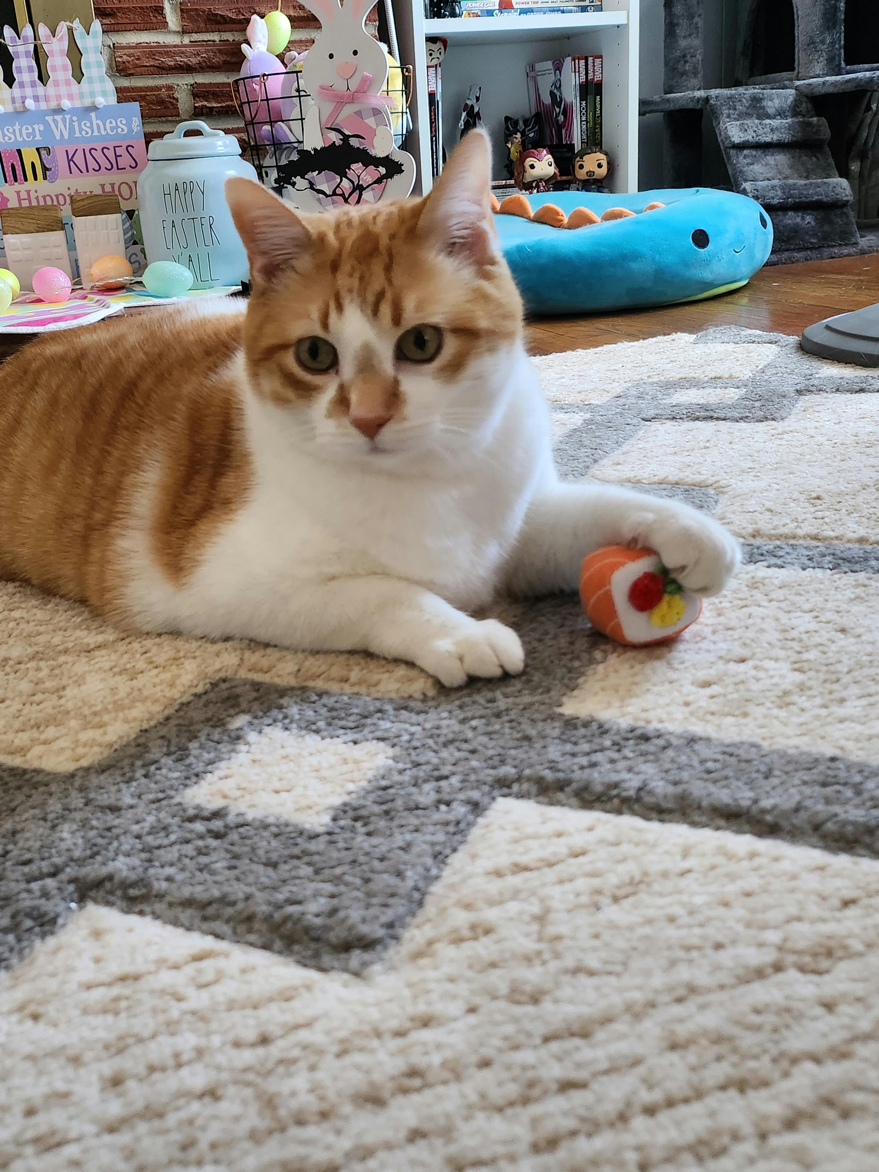 user avatar image for Erika