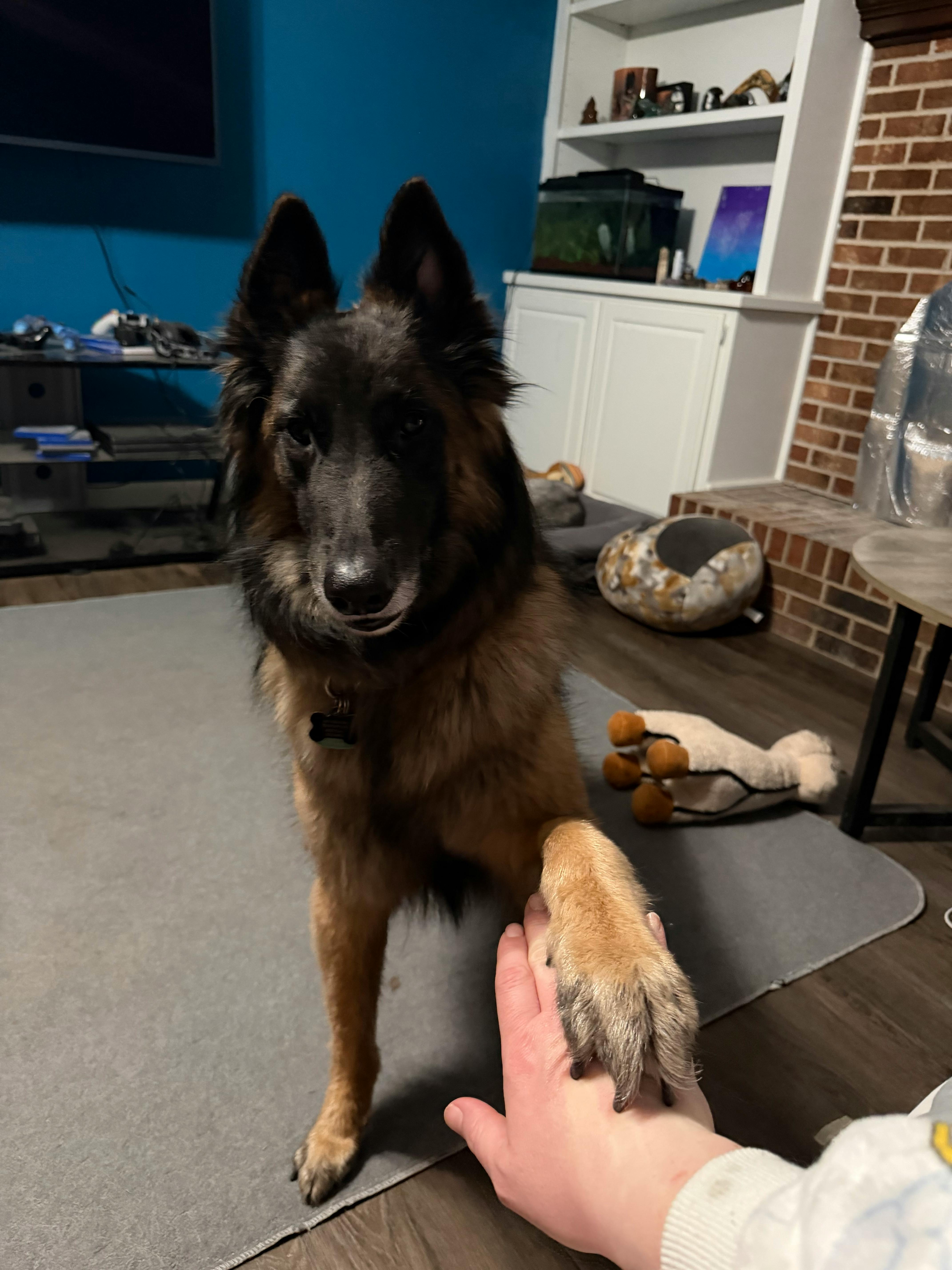 user avatar image for Amanda