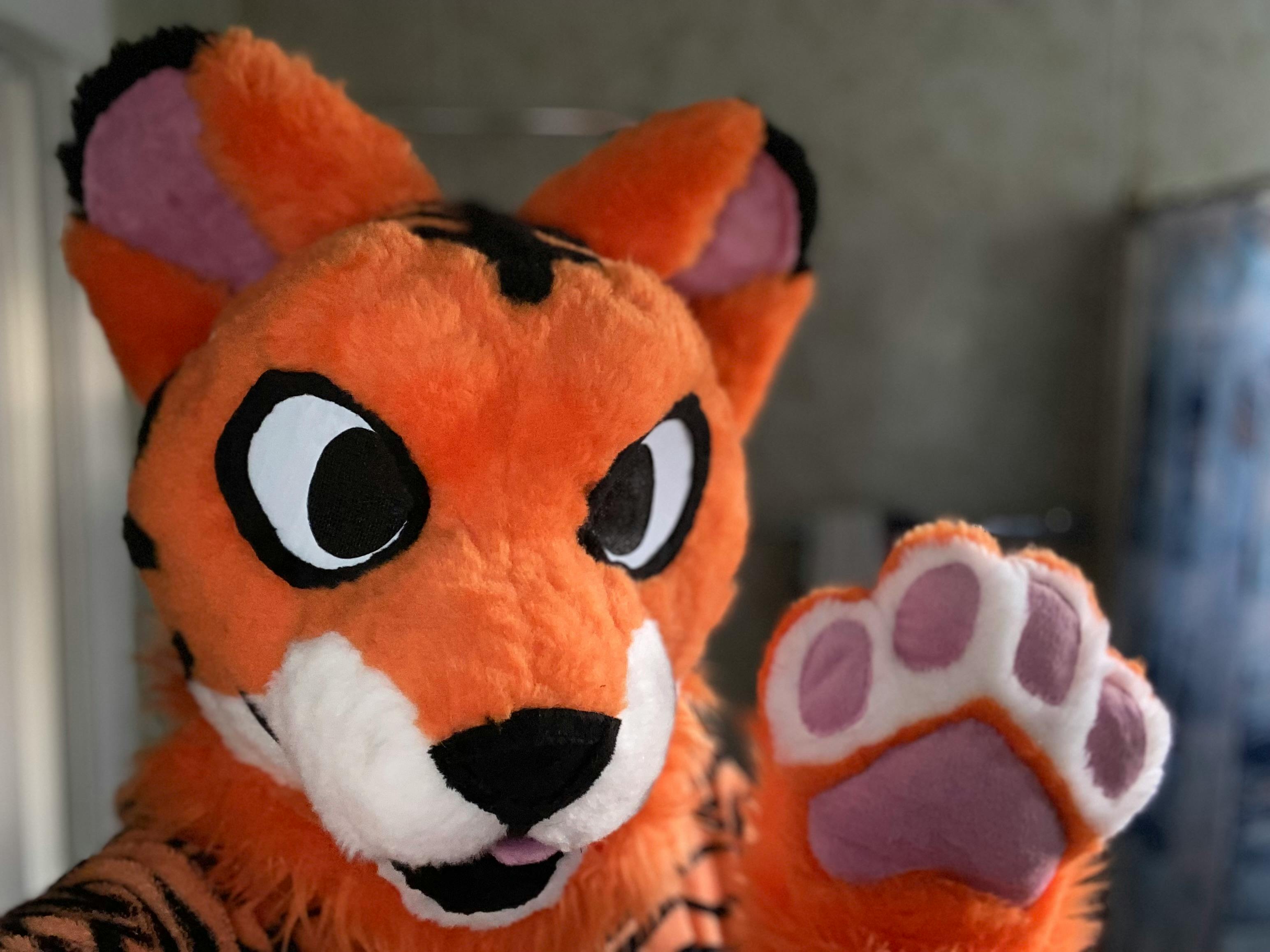 user avatar image for TigerPaw