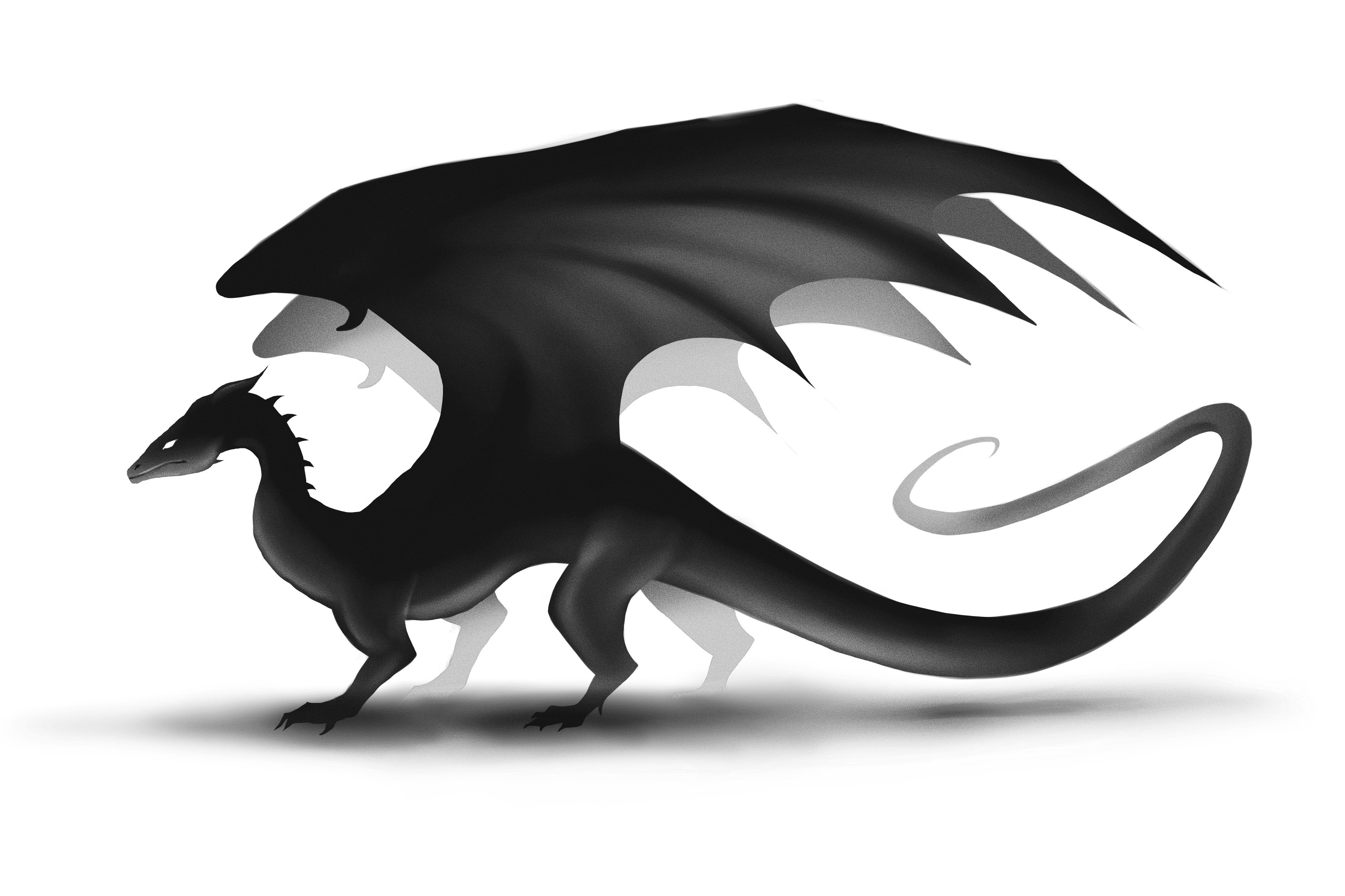 Dragon Silhouette