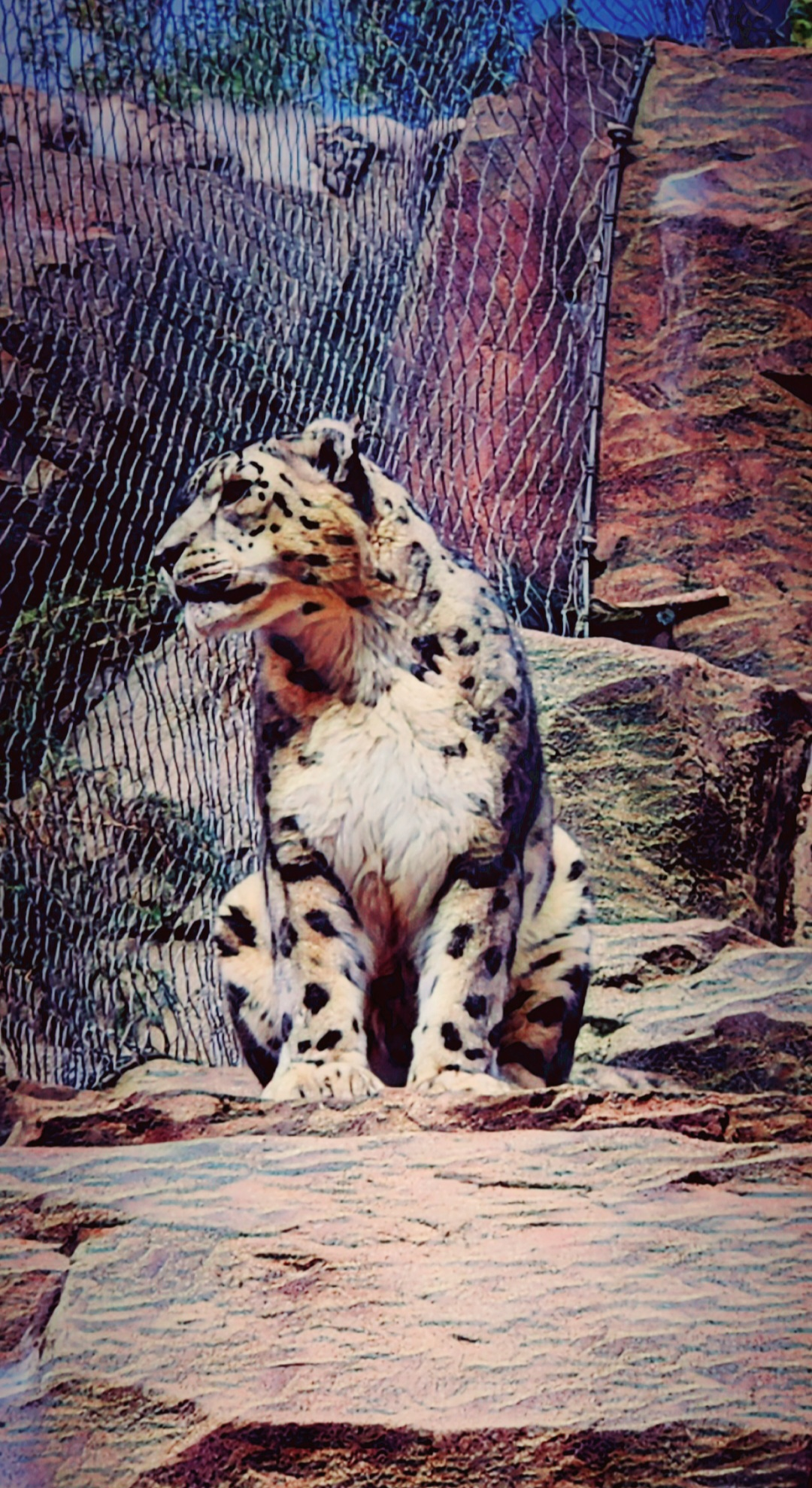 user avatar image for Mheracai