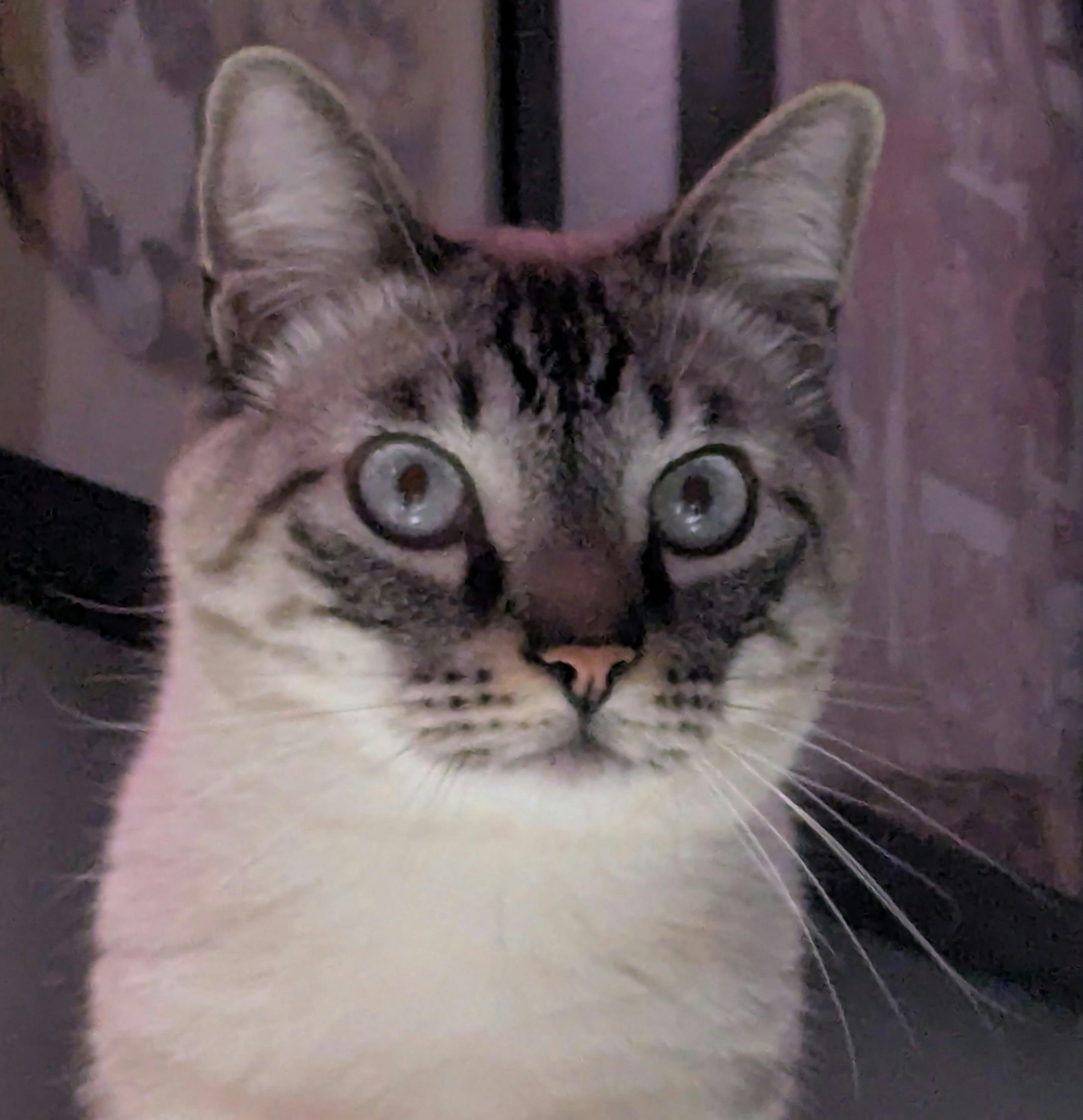 user avatar image for AgorA