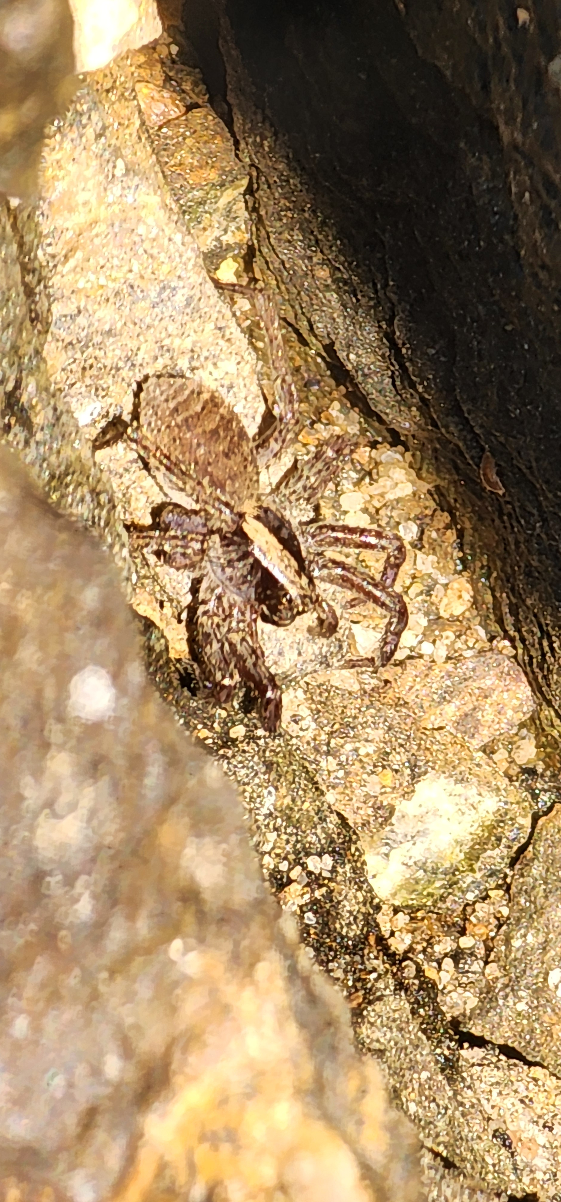 user avatar image for Nexloy