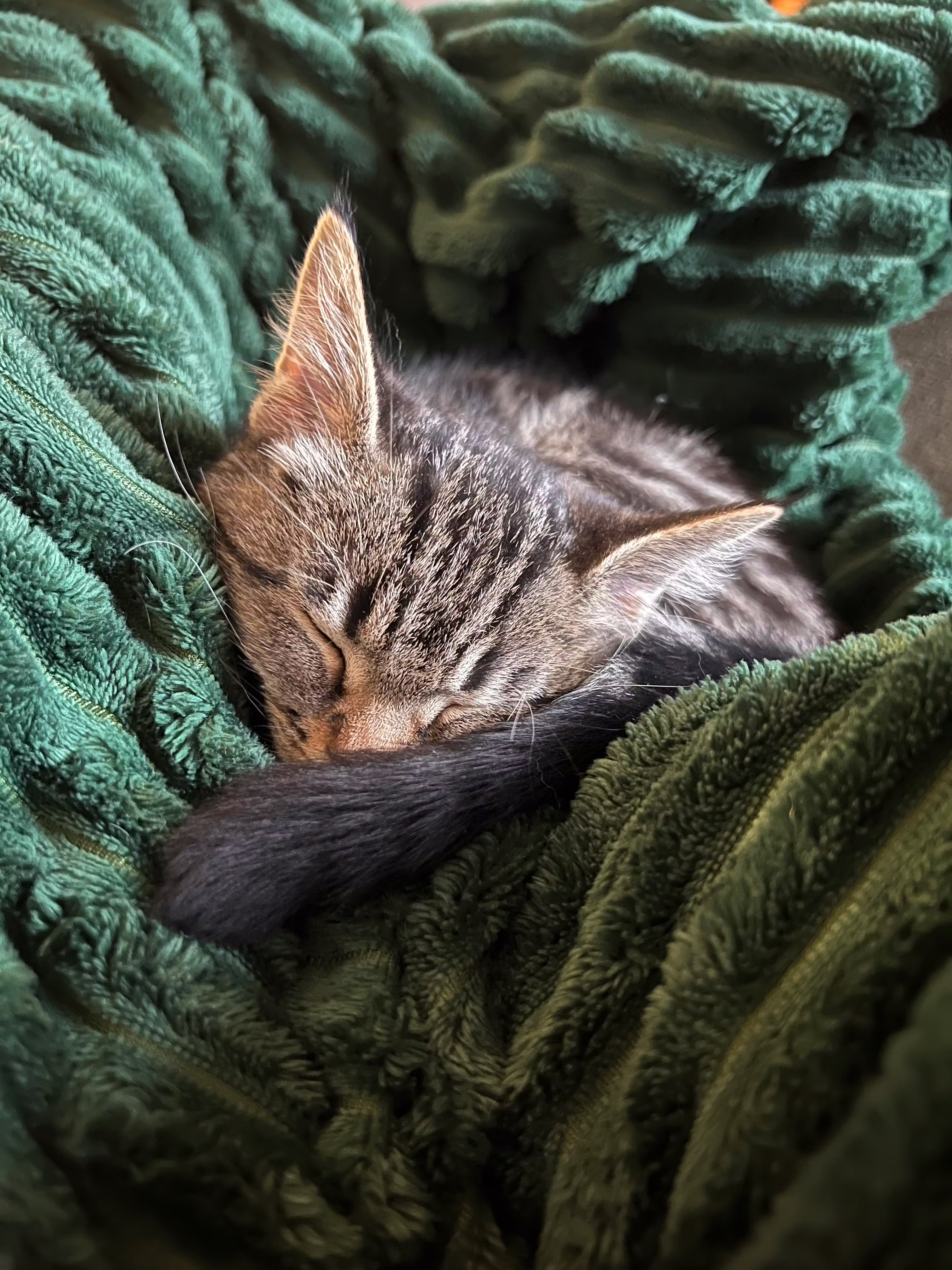 user avatar image for righ