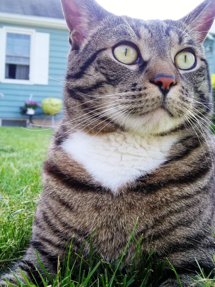 user avatar image for Julie LaBomascus