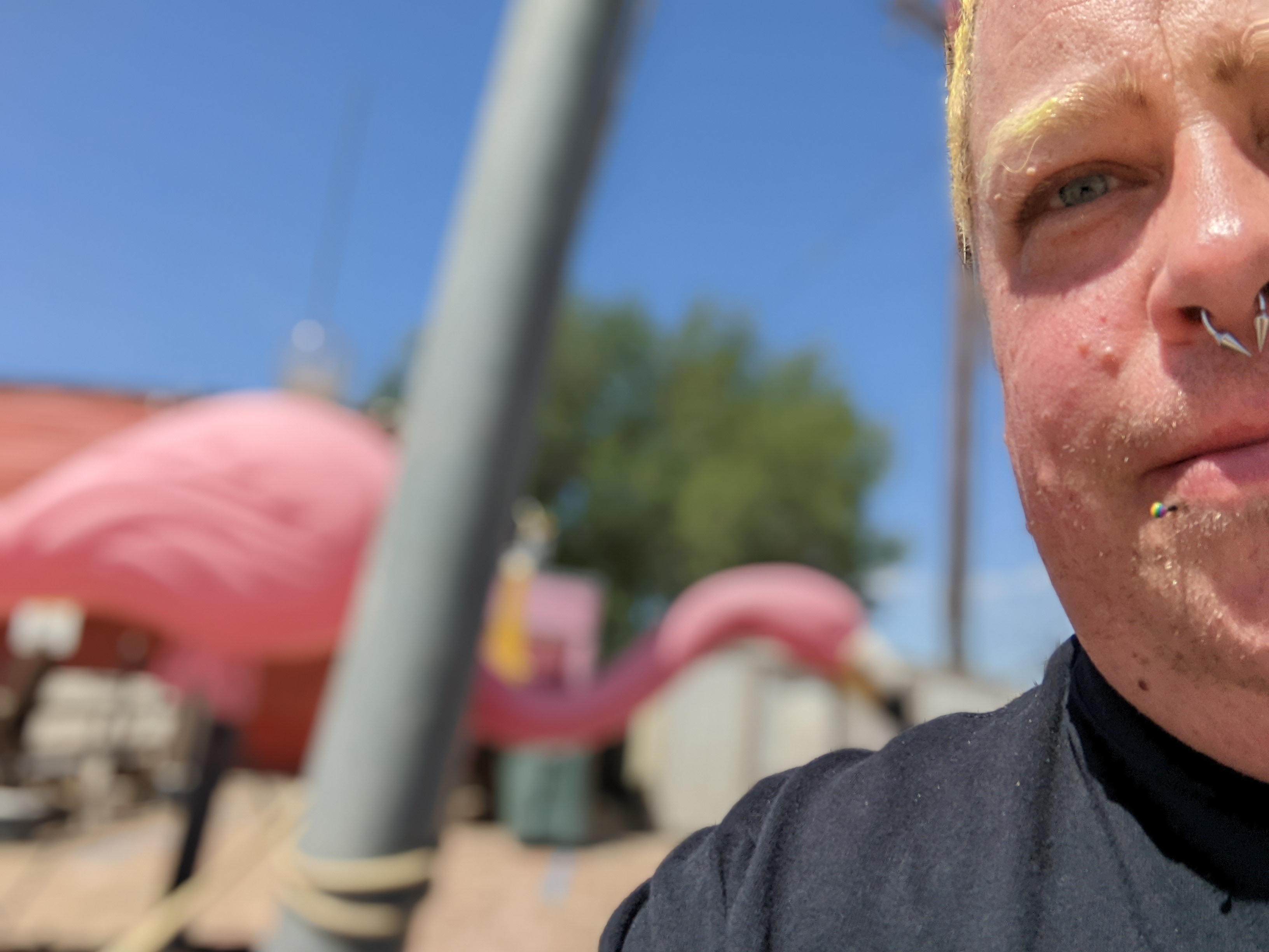 user avatar image for Nandi