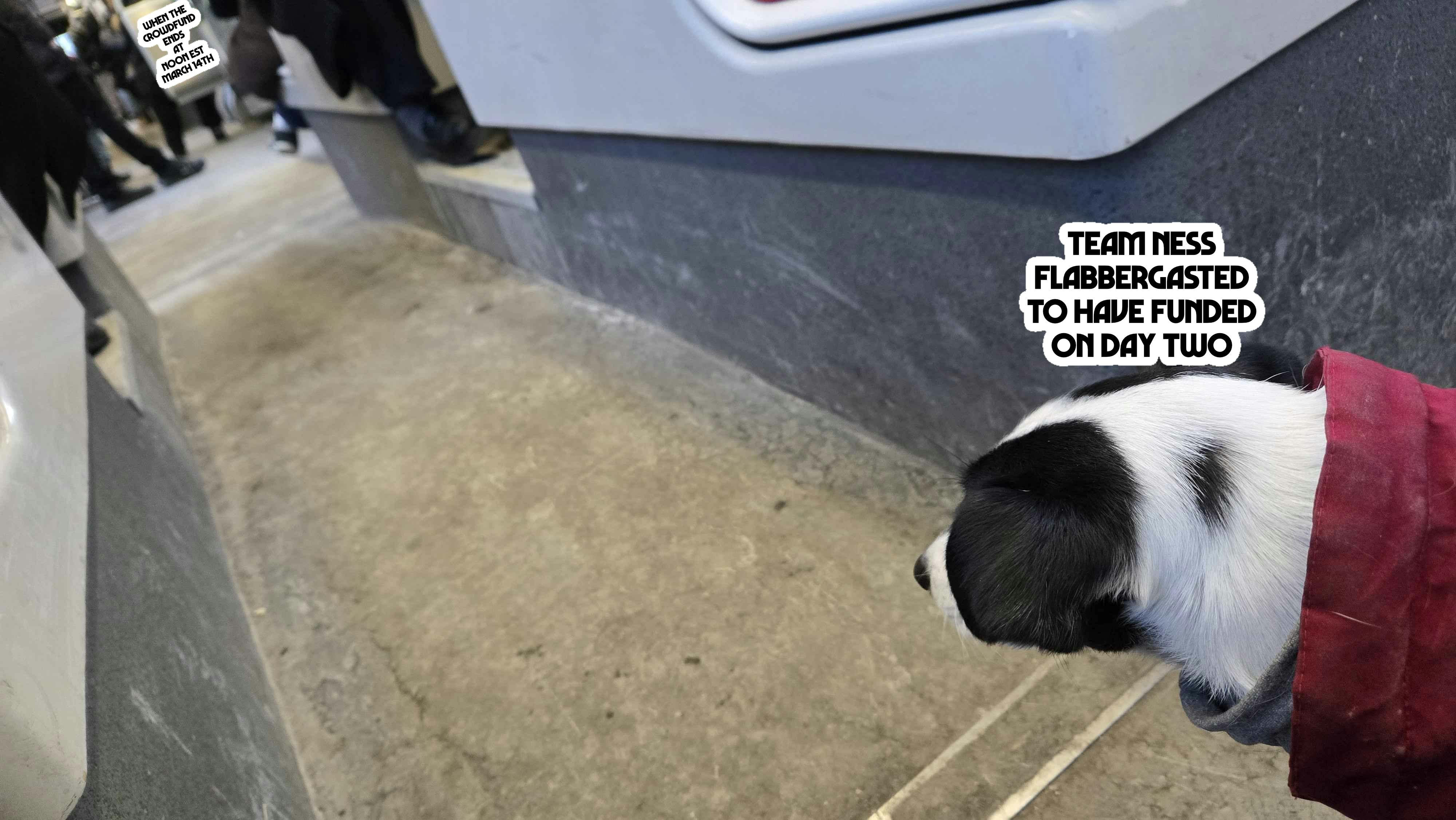  Polly the dog in the bottom-right corner, angle titled so the corridor of a streetcar looks miles long, extending to the top-left corner where tiny, barely legible text is sitting down. The text above Polly's head reads "Team NESS Flabbergasted to have funded on day two", the text on the far far corner reads "When the crowdfund ends at Noon EST, March 14th". It's far away, you see... 