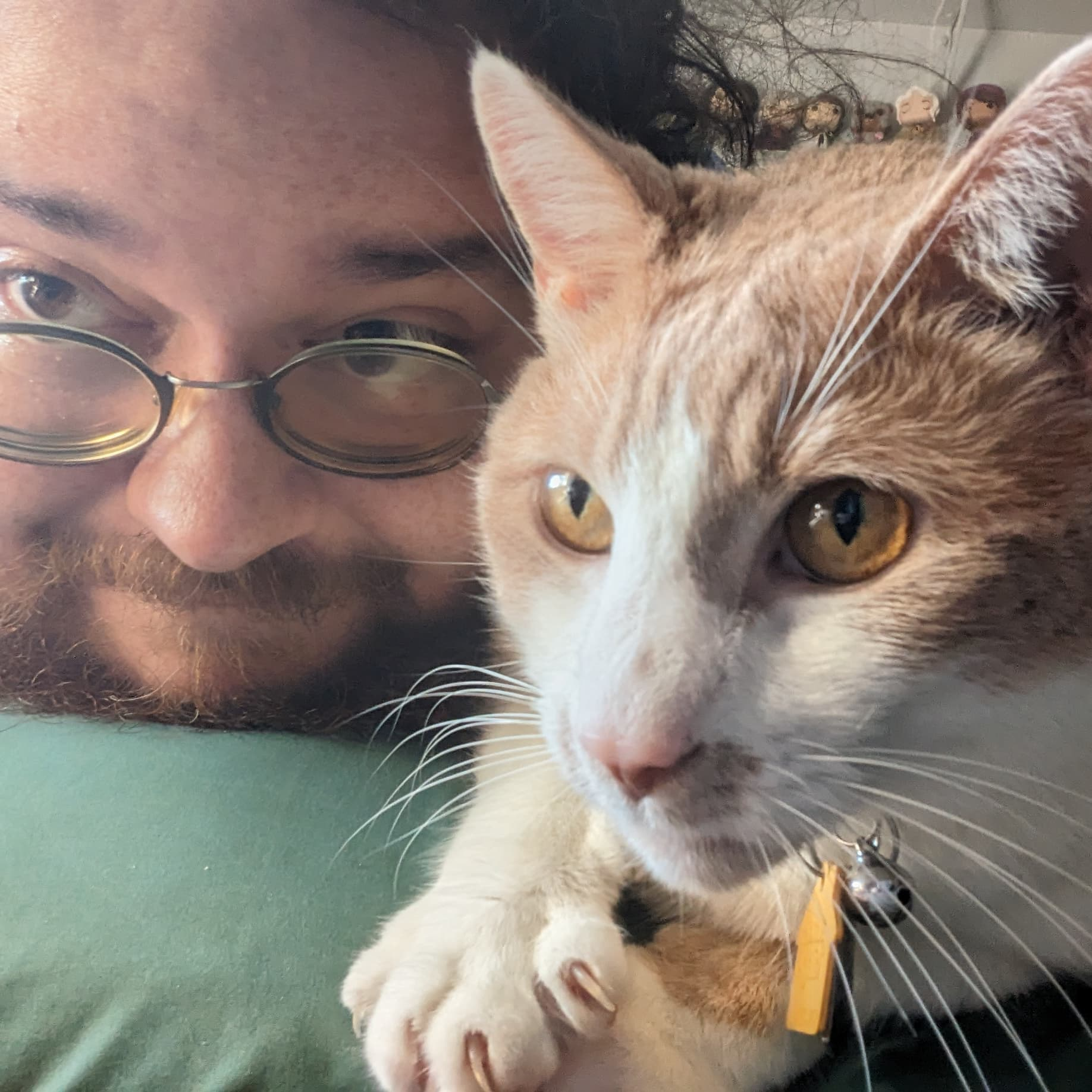 user avatar image for Larry Fellin