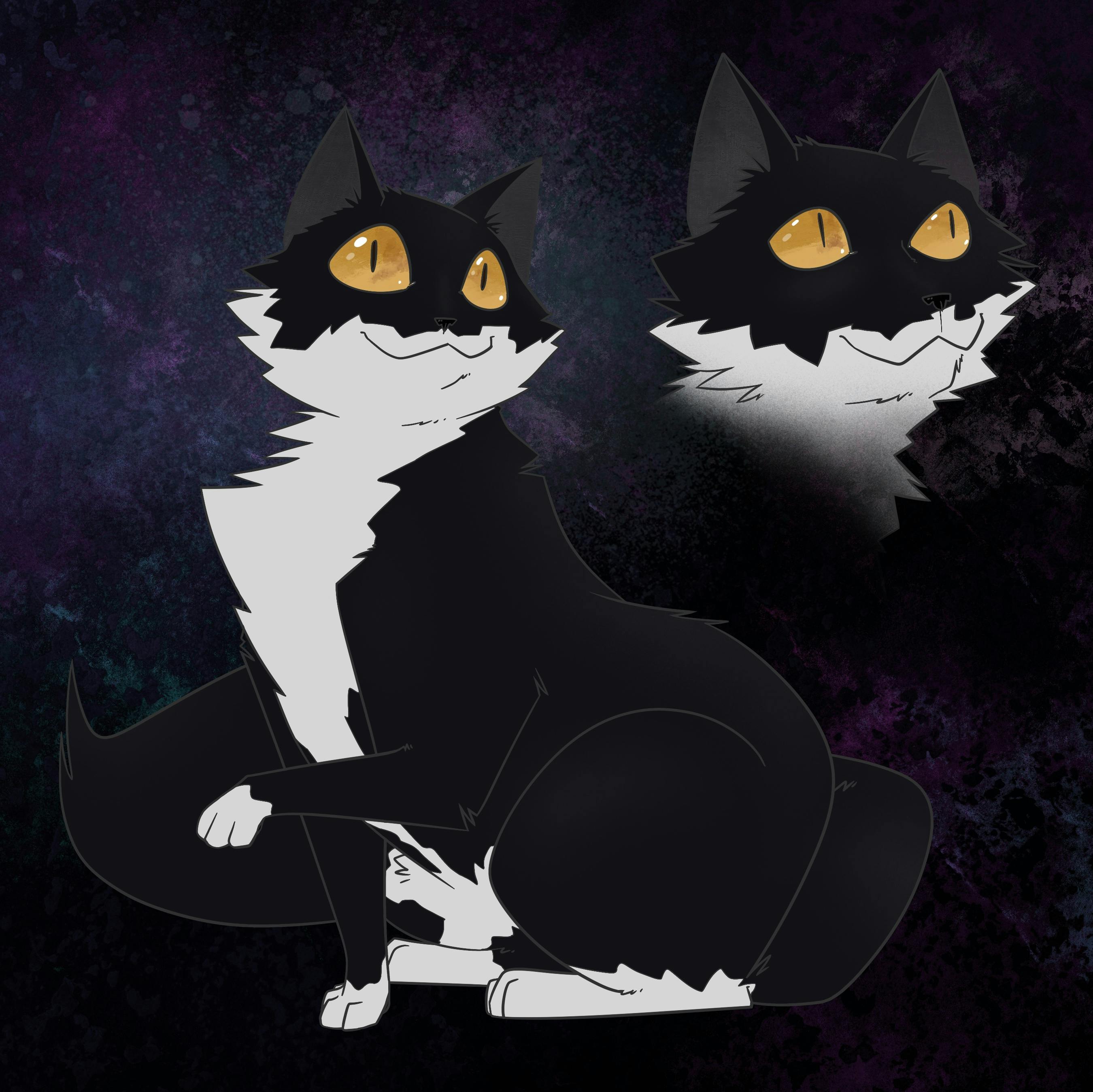 user avatar image for Tim Rudloff