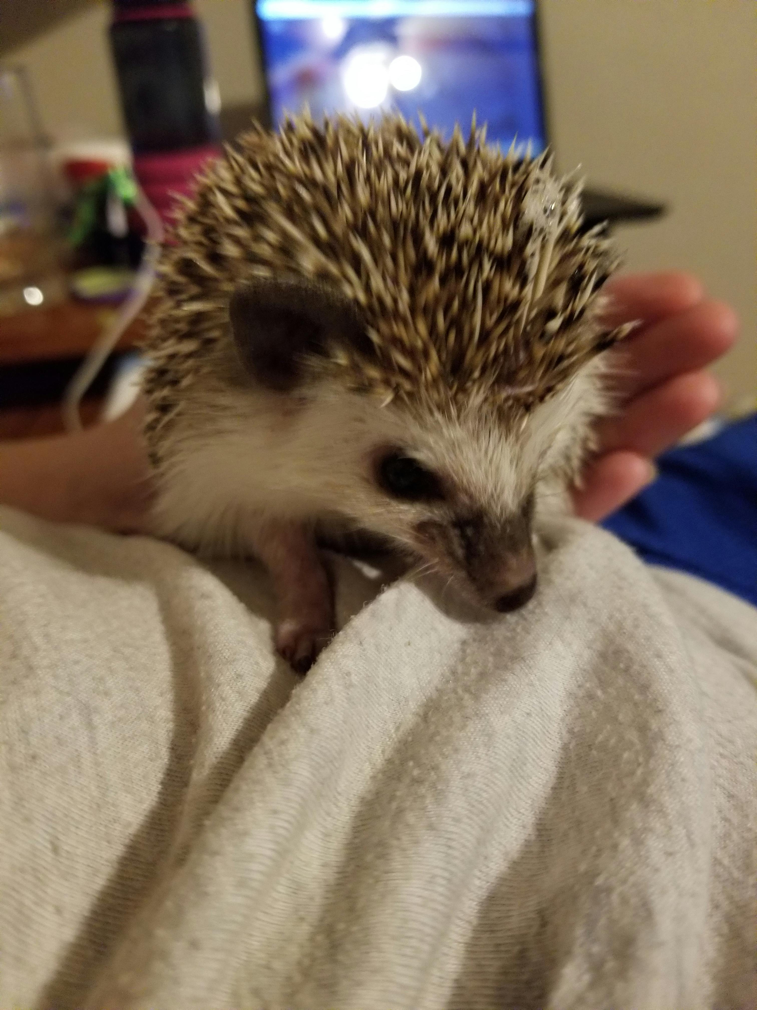 user avatar image for Ranelle