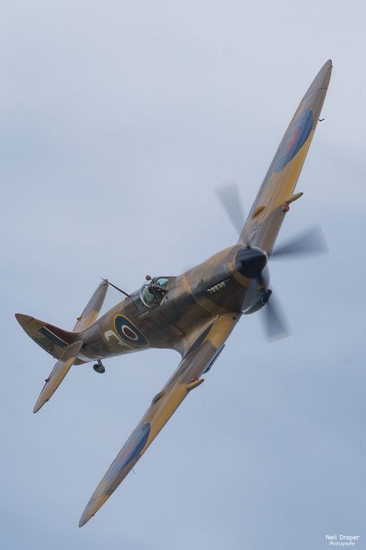 user avatar image for Vincent the Librarian