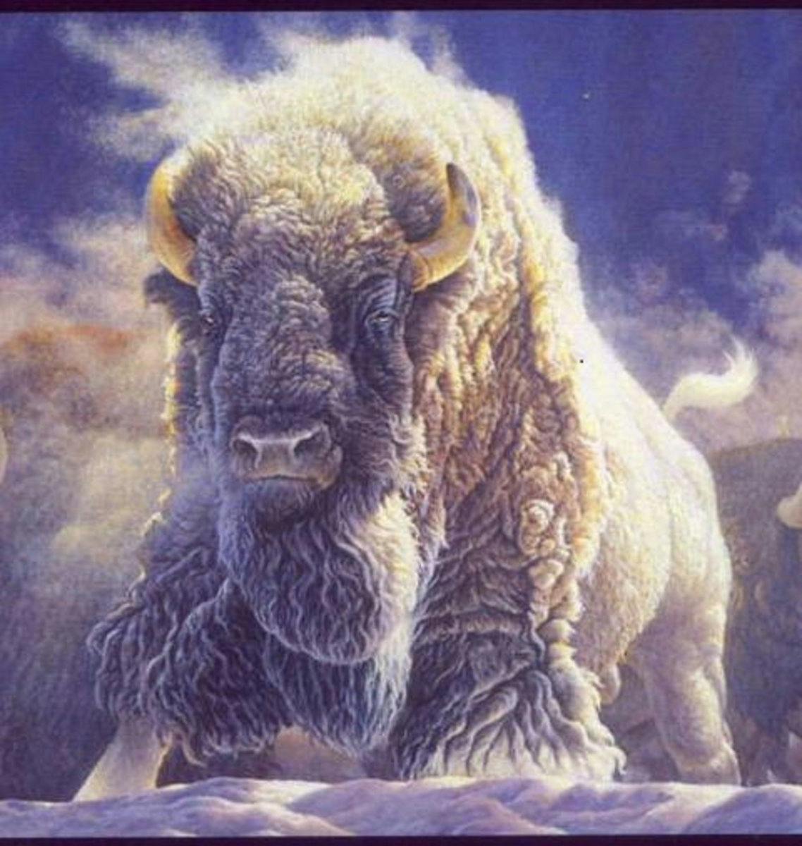 user avatar image for Great White Buffalo