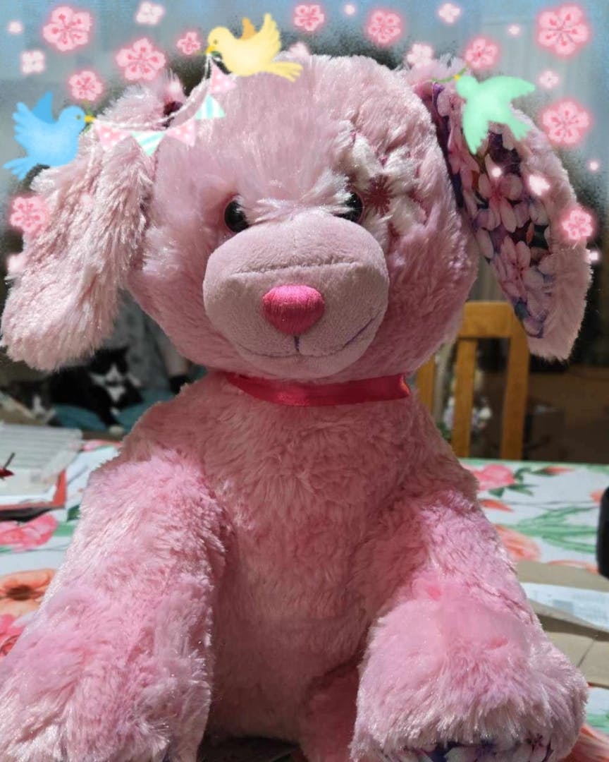 user avatar image for Ashley Roberts