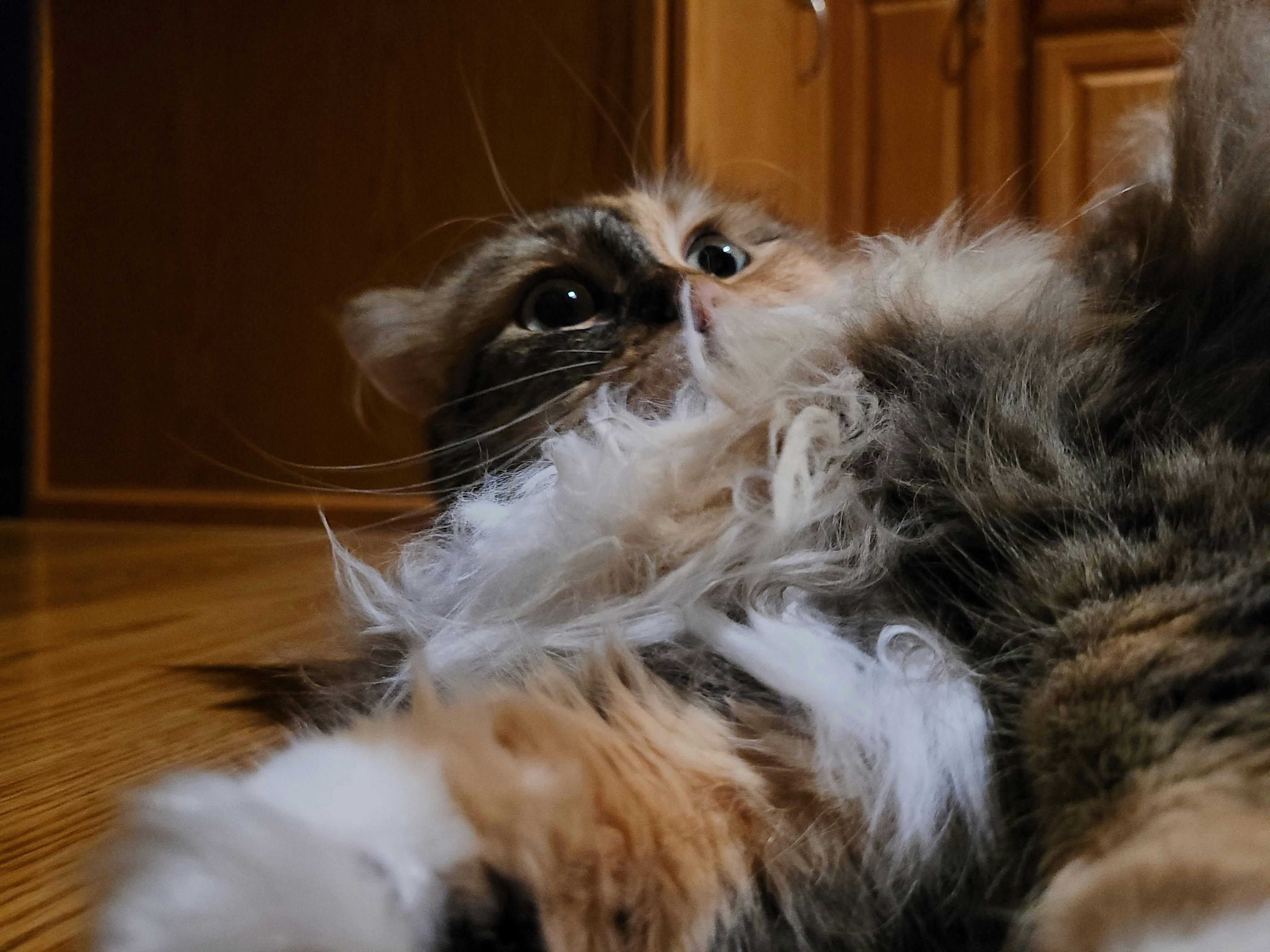 user avatar image for Lmdragon