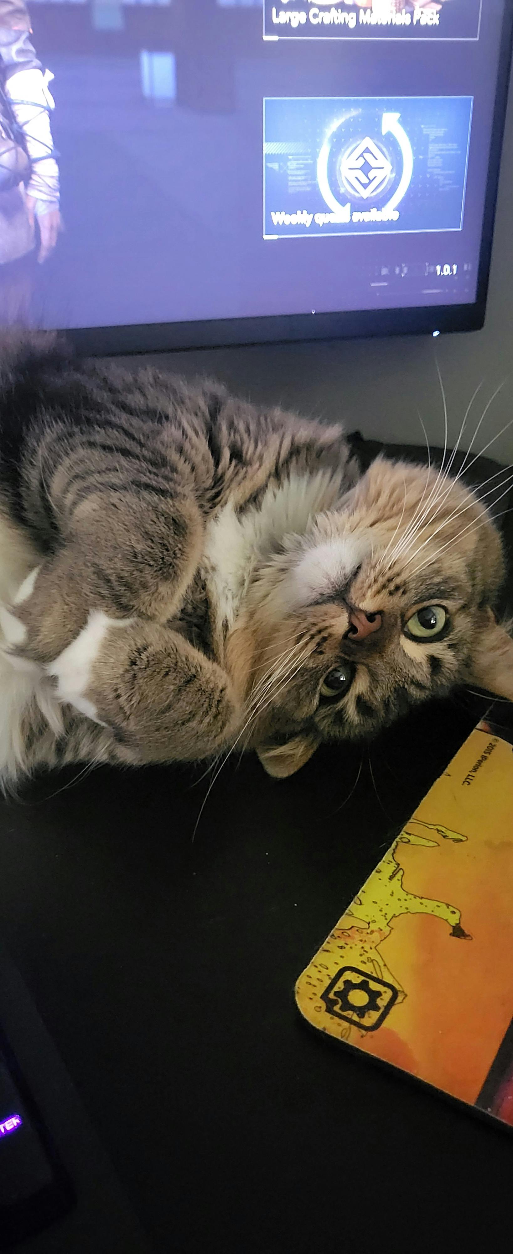 user avatar image for Khayline