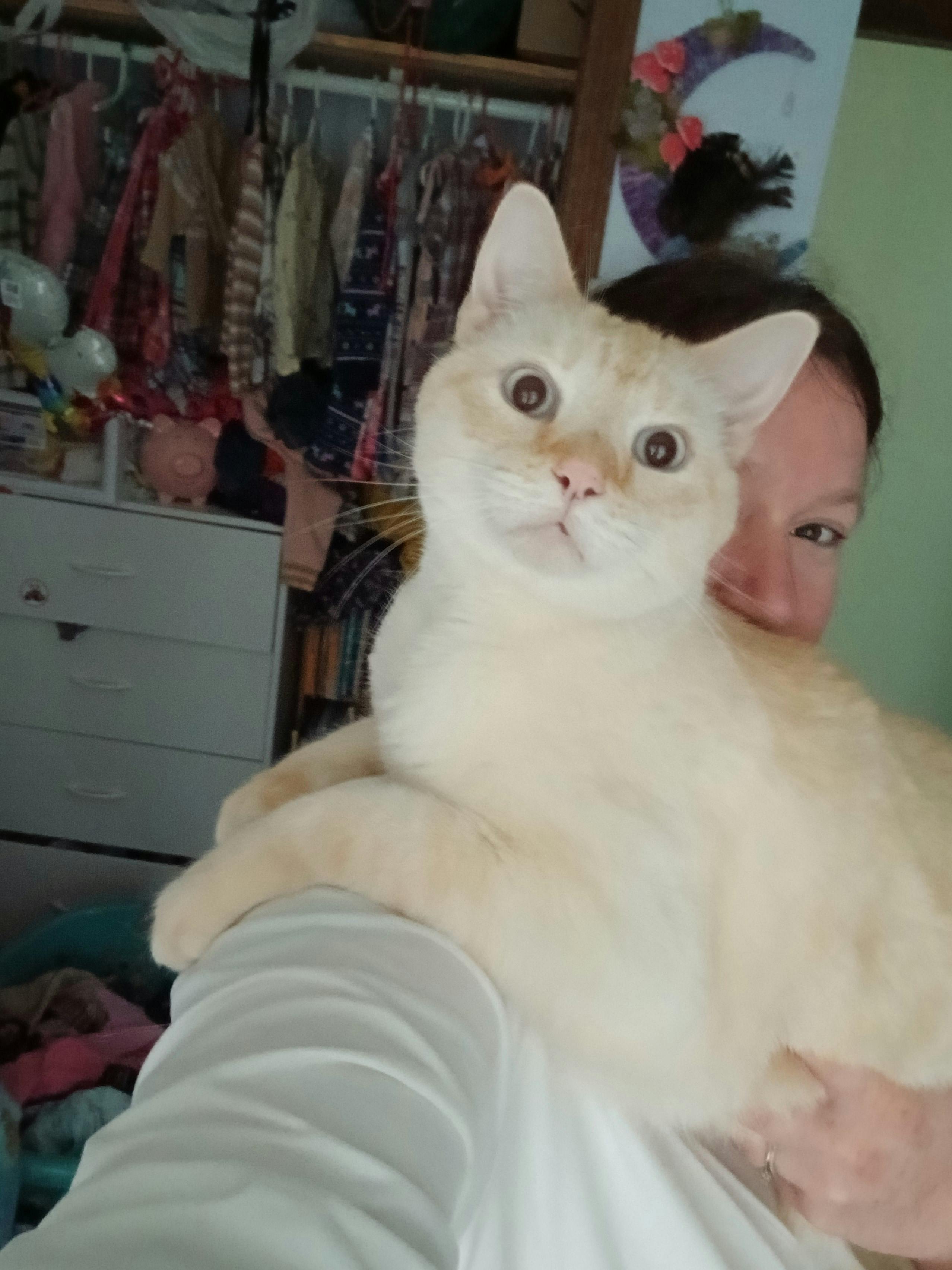 user avatar image for Andrea M