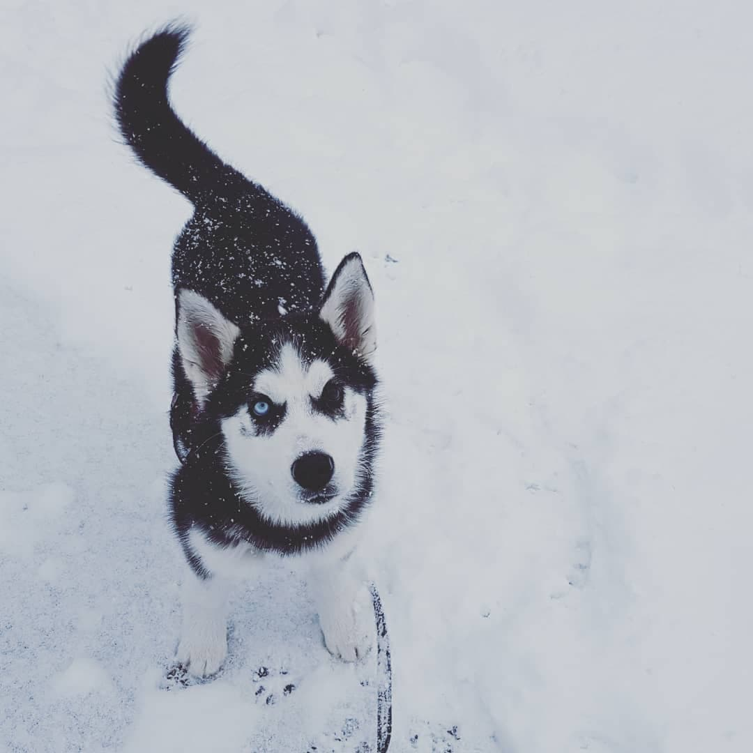 user avatar image for OneTwoTaylor