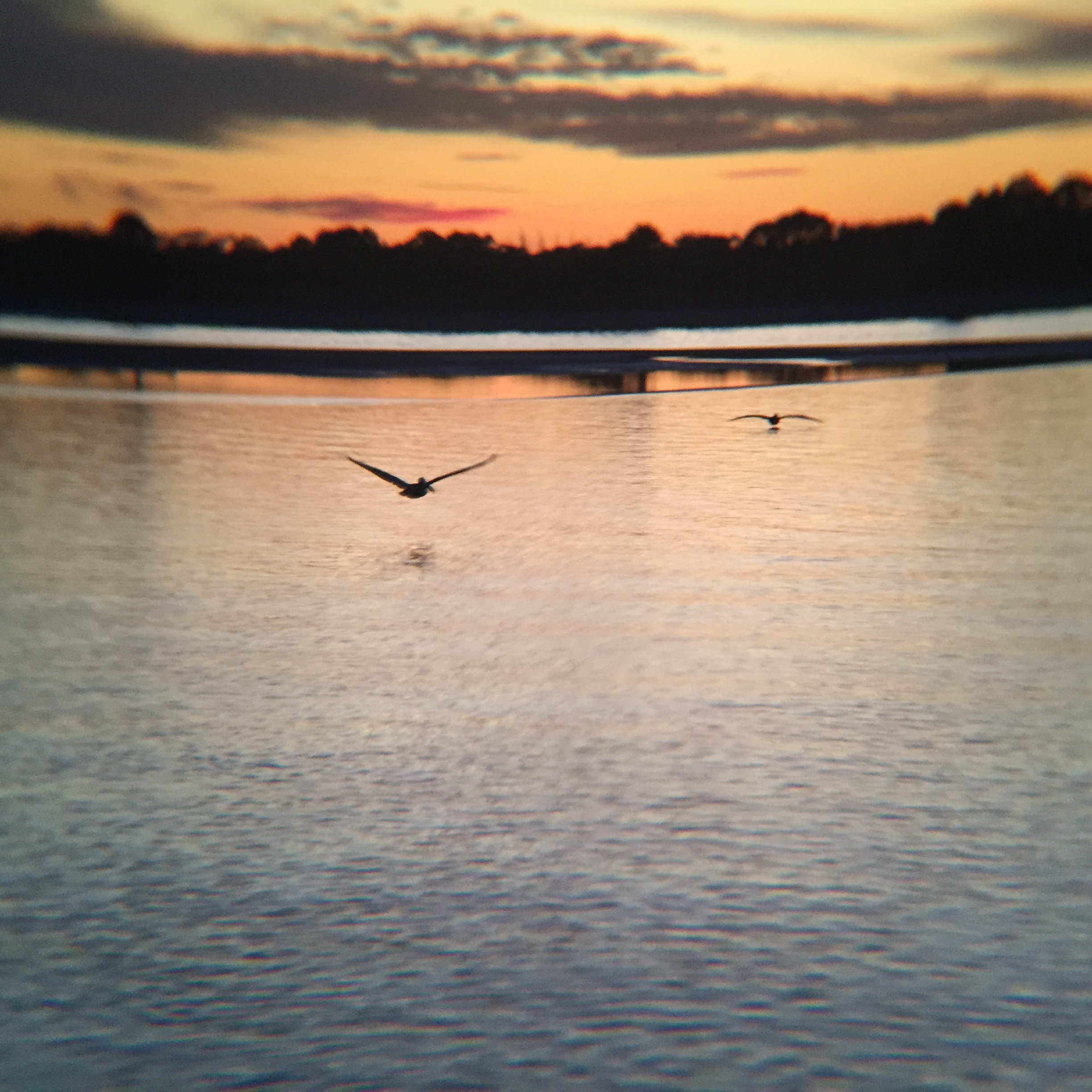 user avatar image for Attheinlet 