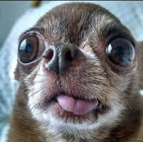 user avatar image for SparkleFingers