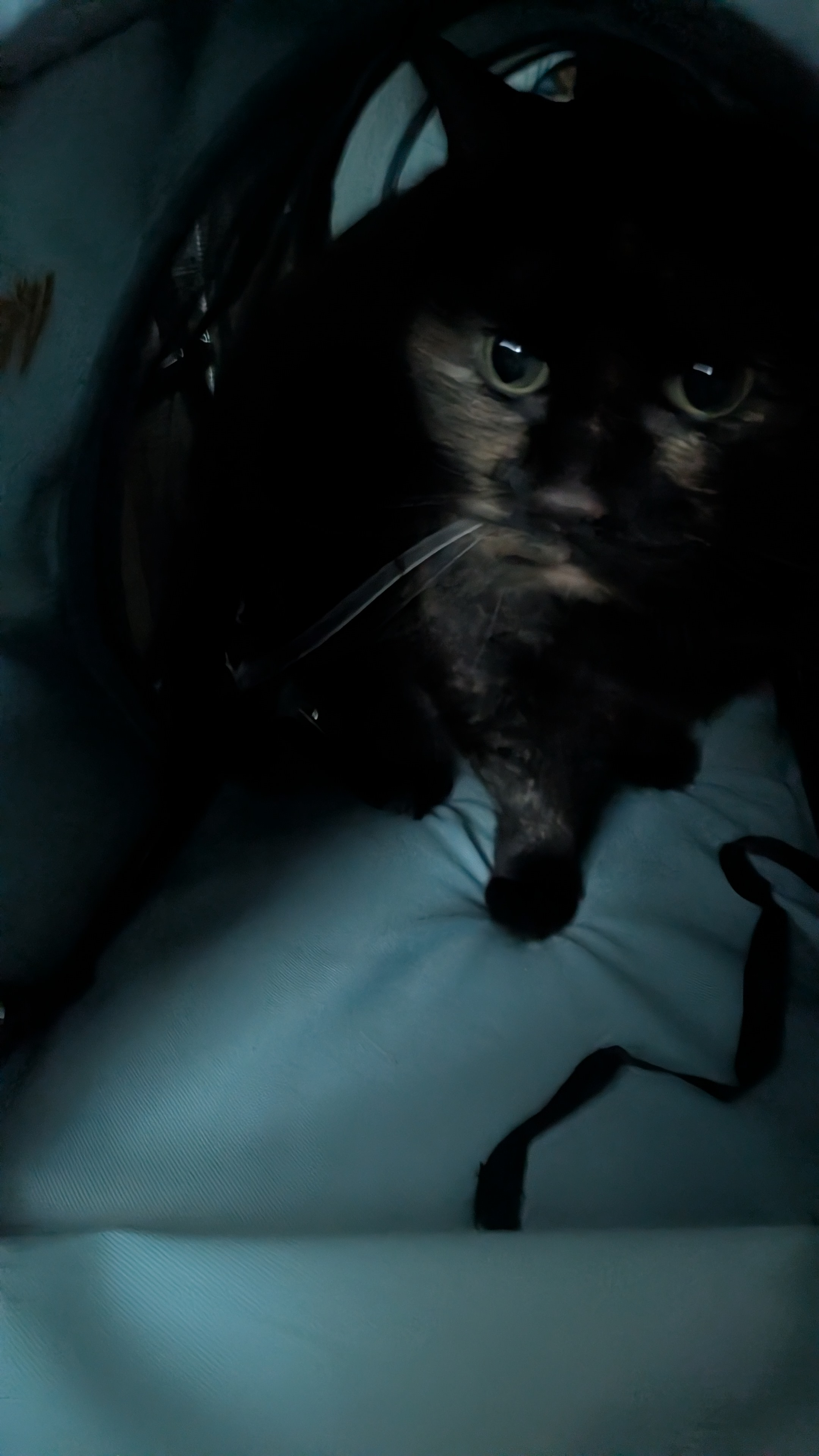 user avatar image for Nick