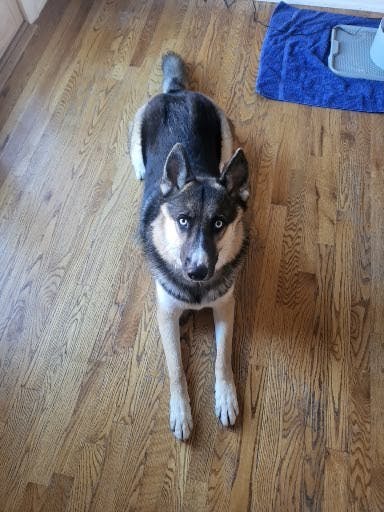 user avatar image for Kye