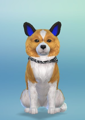 user avatar image for Mike09_RR