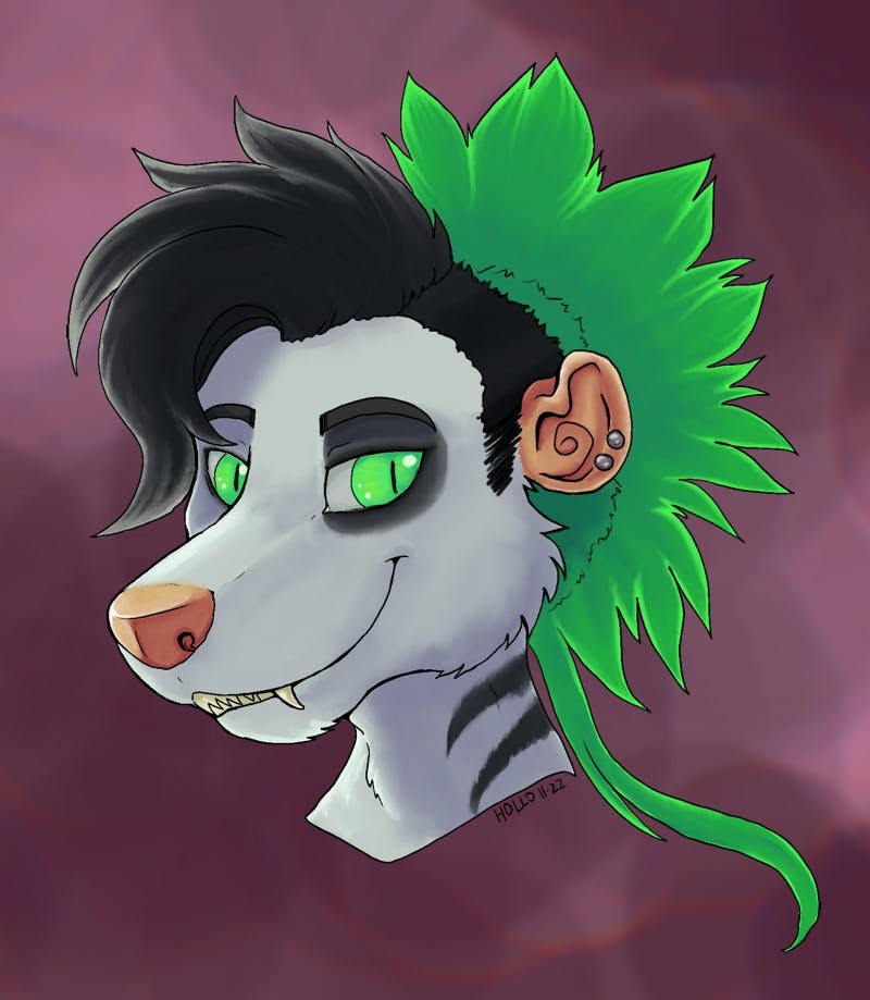 user avatar image for Hollo